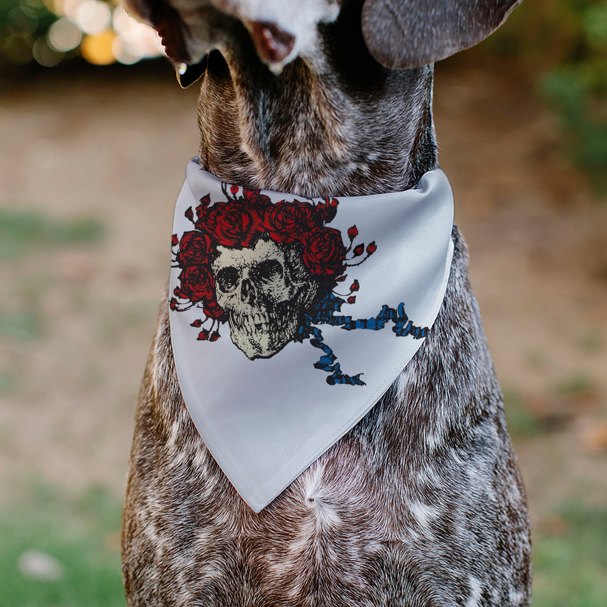 Pet Bandana - Grateful Dead Skull and Rose Face White Pet Bandanas Grateful Dead