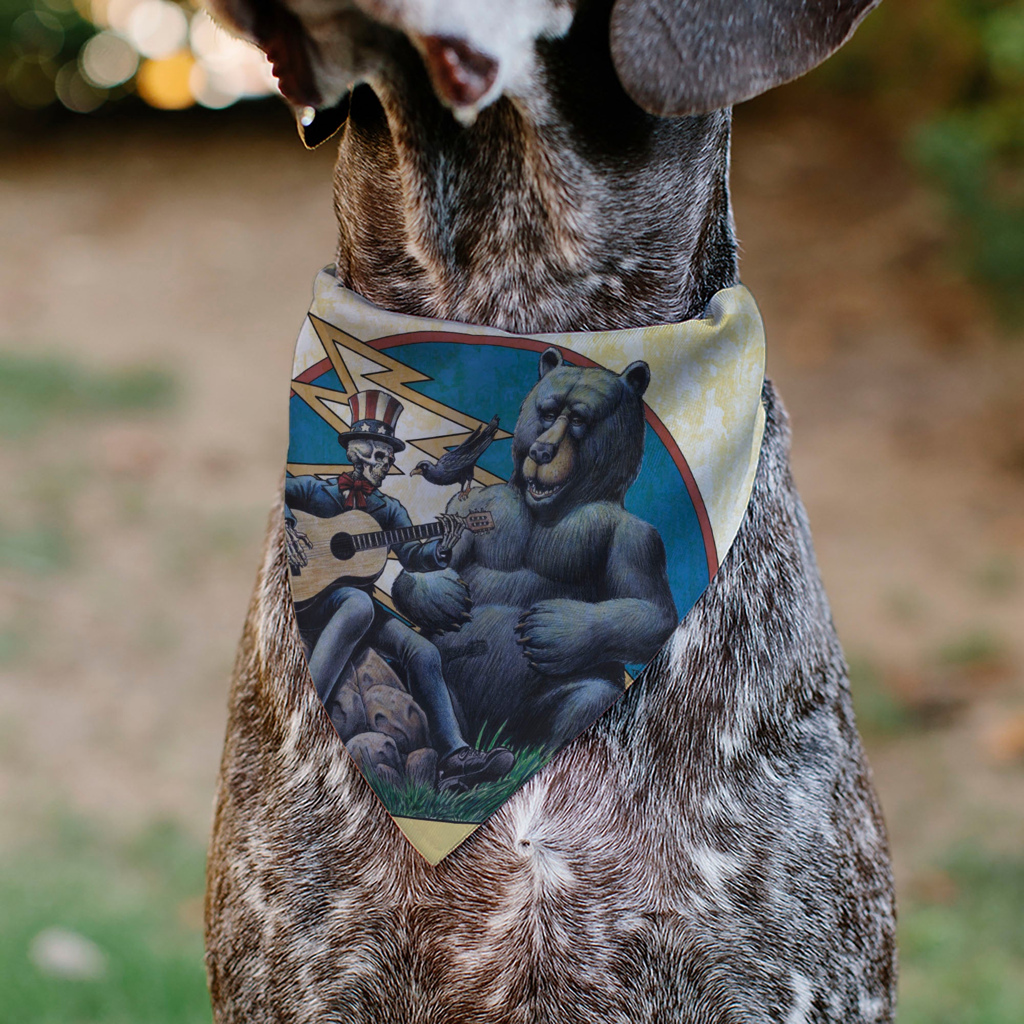 Pet Bandana - Grateful Dead Dave's Picks Volume Five Truman UCLA Cover Art Pet Bandanas Grateful Dead