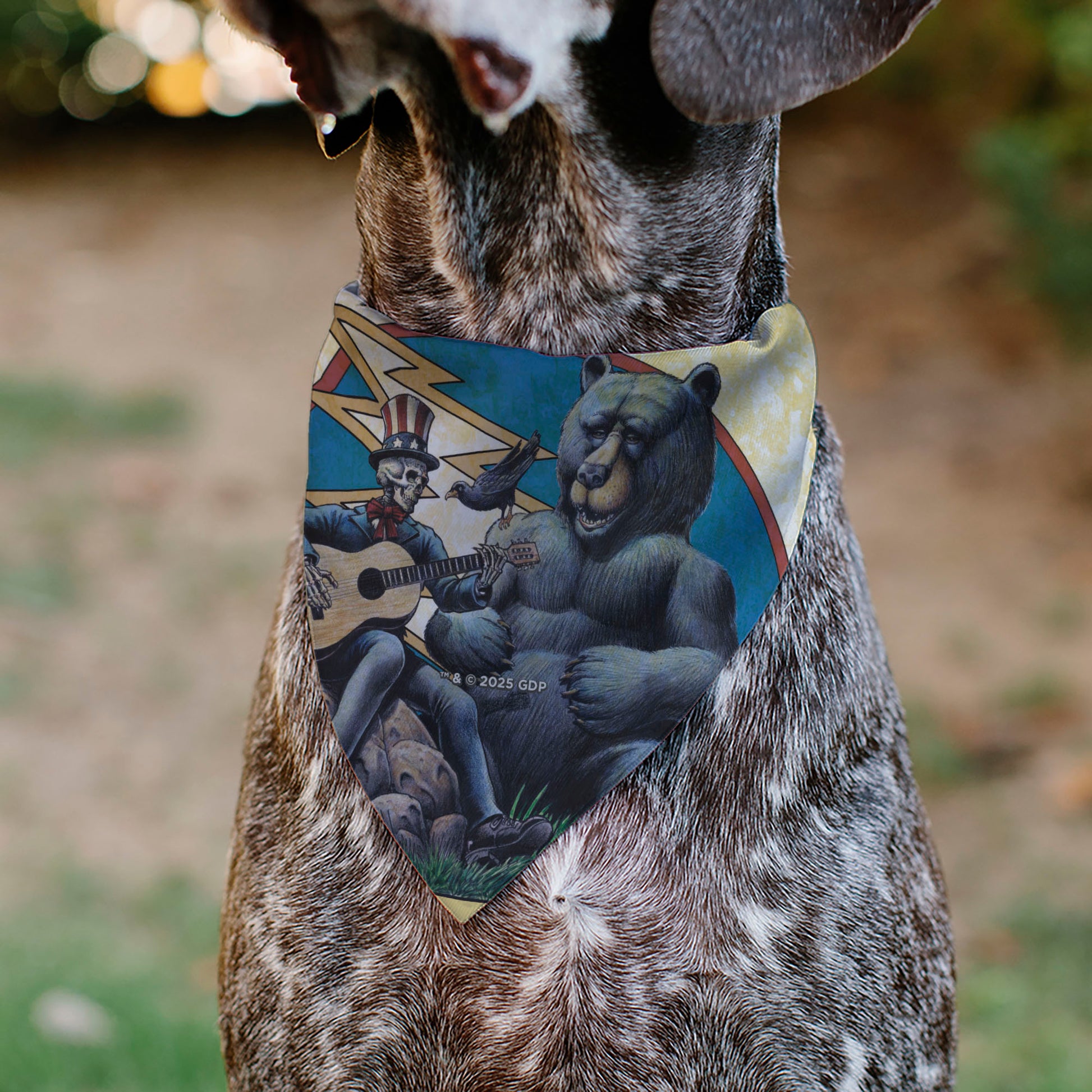 Pet Bandana - Grateful Dead Dave's Picks Volume Five Truman UCLA Cover Art Pet Bandanas Grateful Dead