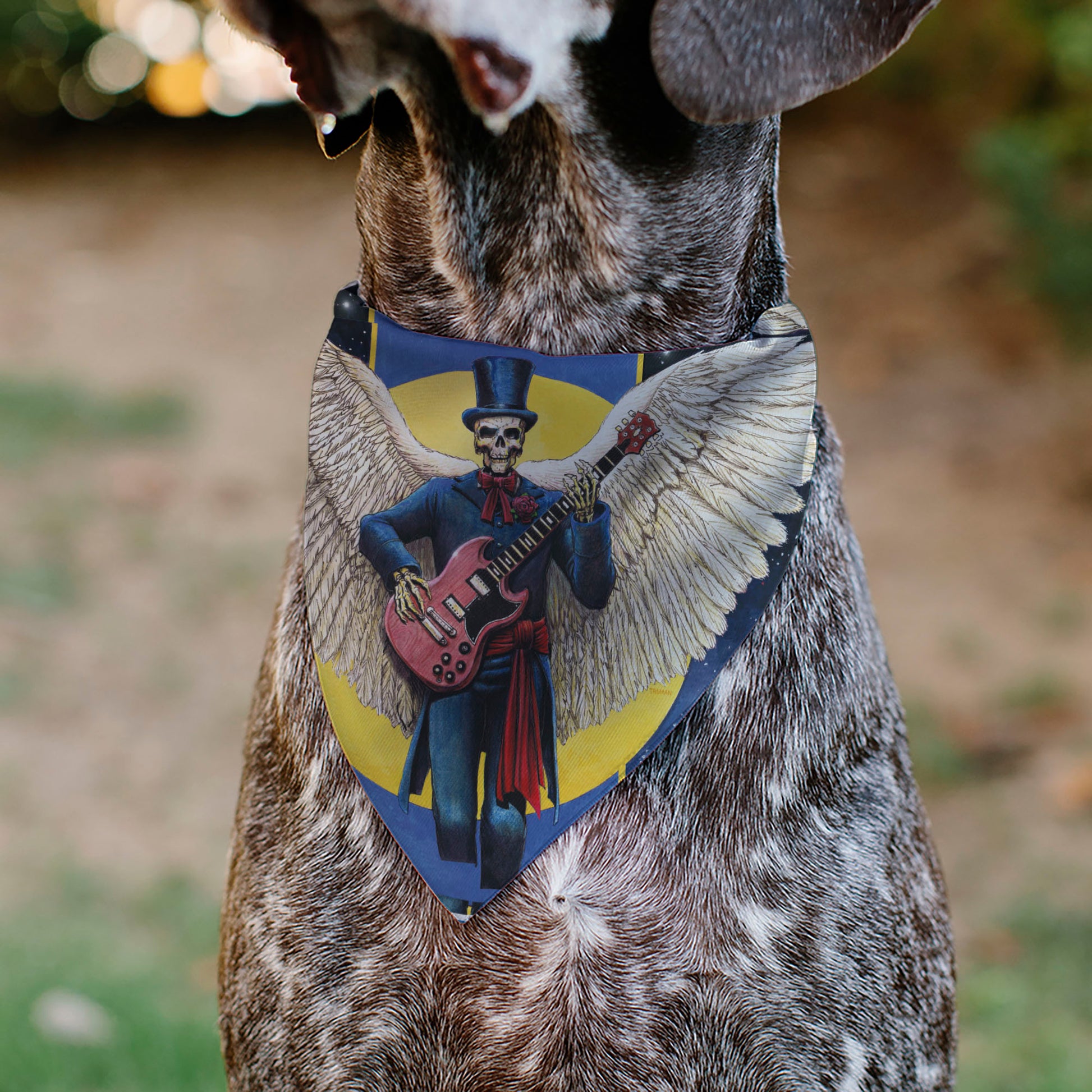 Pet Bandana - Grateful Dead Dave's Picks Volume Six San Francisco and St. Louis Skeleton Cover Art Pet Bandanas Grateful Dead