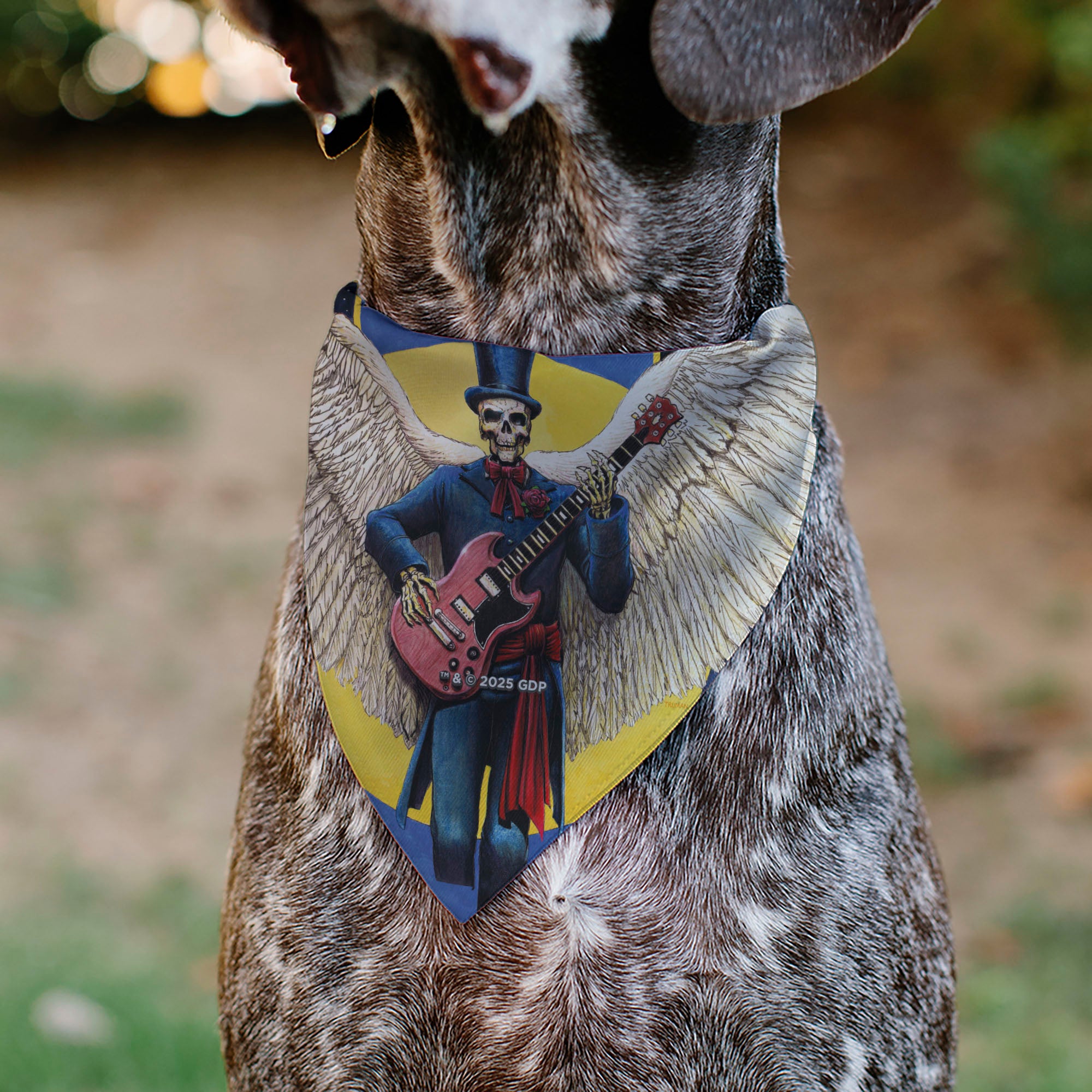 Pet Bandana - Grateful Dead Dave's Picks Volume Six San Francisco and St. Louis Skeleton Cover Art Pet Bandanas Grateful Dead