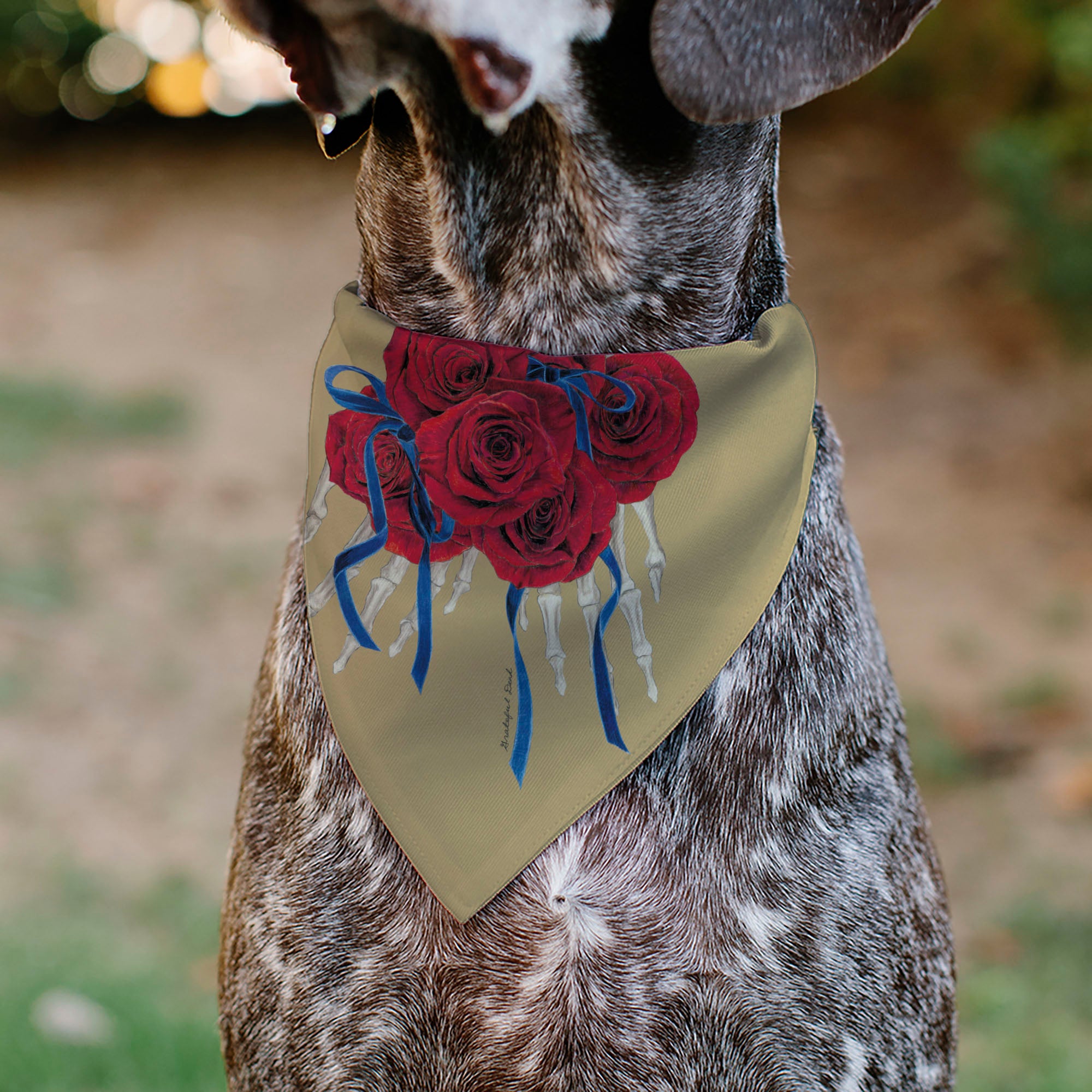 Pet Bandana - GRATEFUL DEAD THE OTHER ONE Roses and Text Tan/Blue/Red Pet Bandanas Grateful Dead
