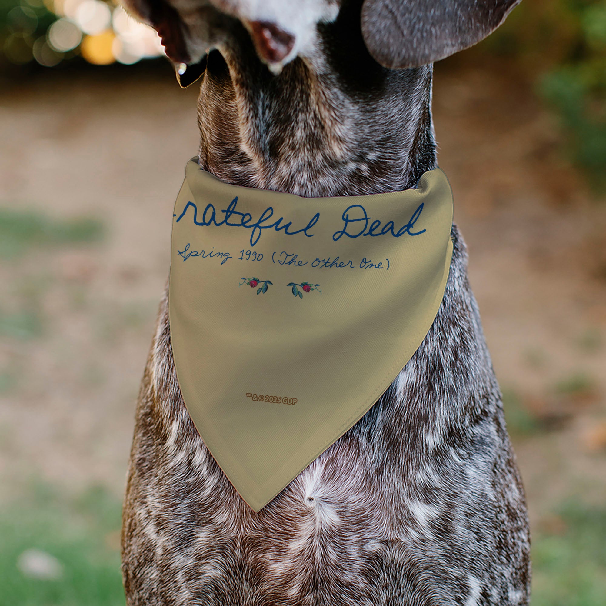 Pet Bandana - GRATEFUL DEAD THE OTHER ONE Roses and Text Tan/Blue/Red Pet Bandanas Grateful Dead