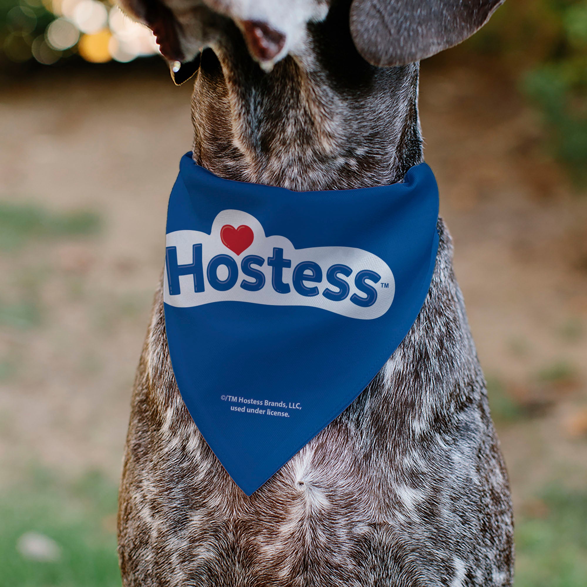 Pet Bandana - Hostess Cupcakes Turns and Logo Brown