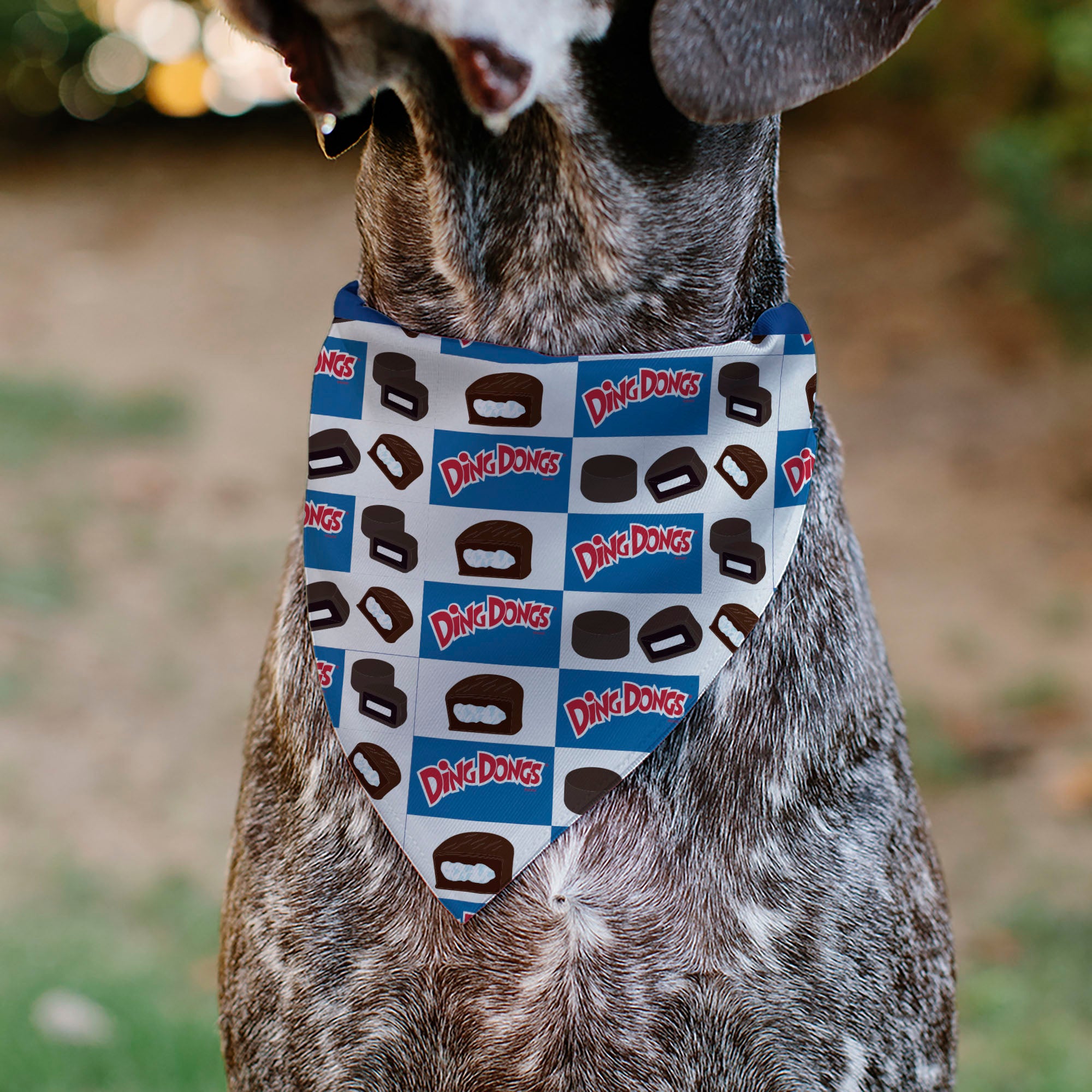 Pet Bandana - Hostess Ding Dongs and Logo Blue