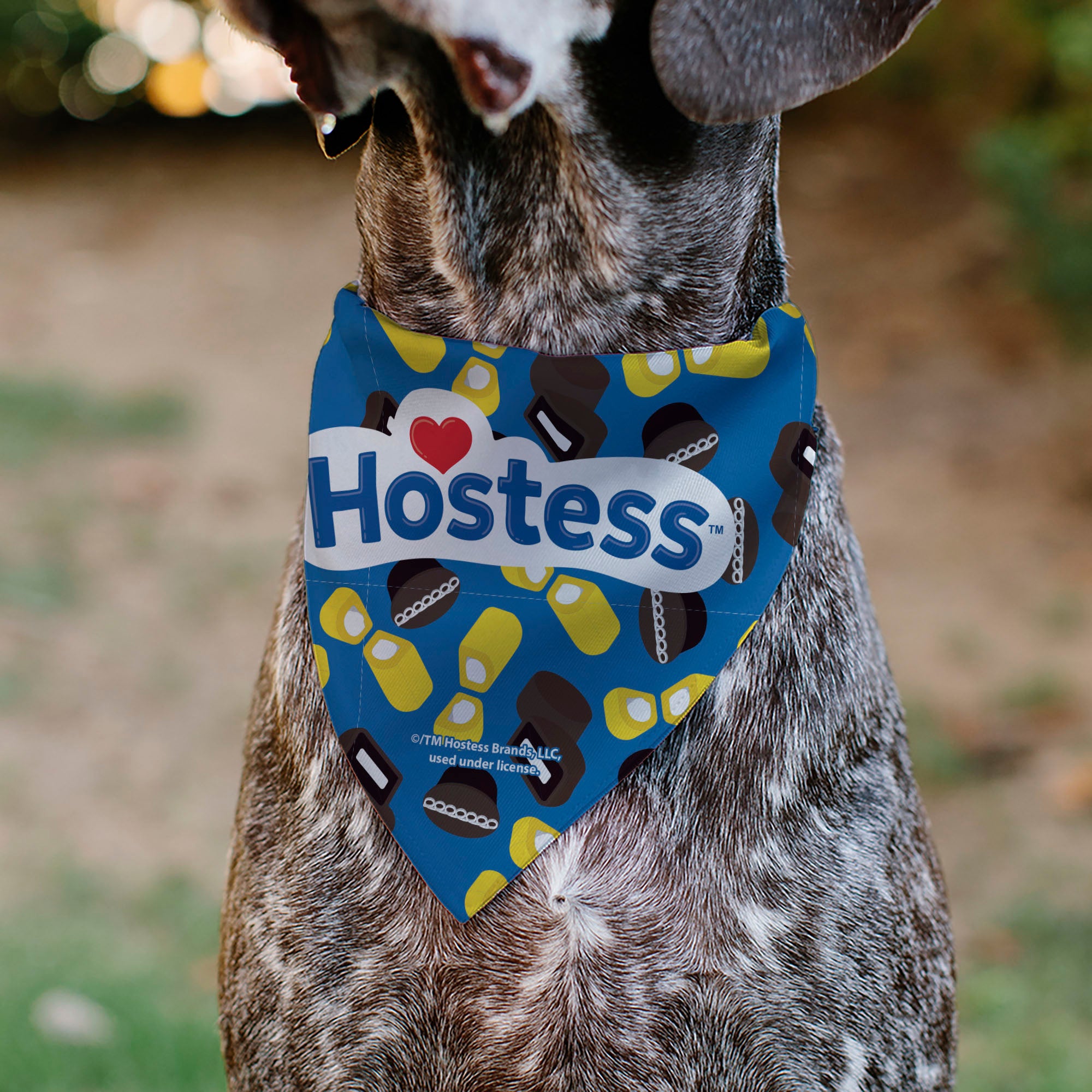 Pet Bandana - Hostess Cupcakes Ding Dongs Twinkies and Logo Light Blue