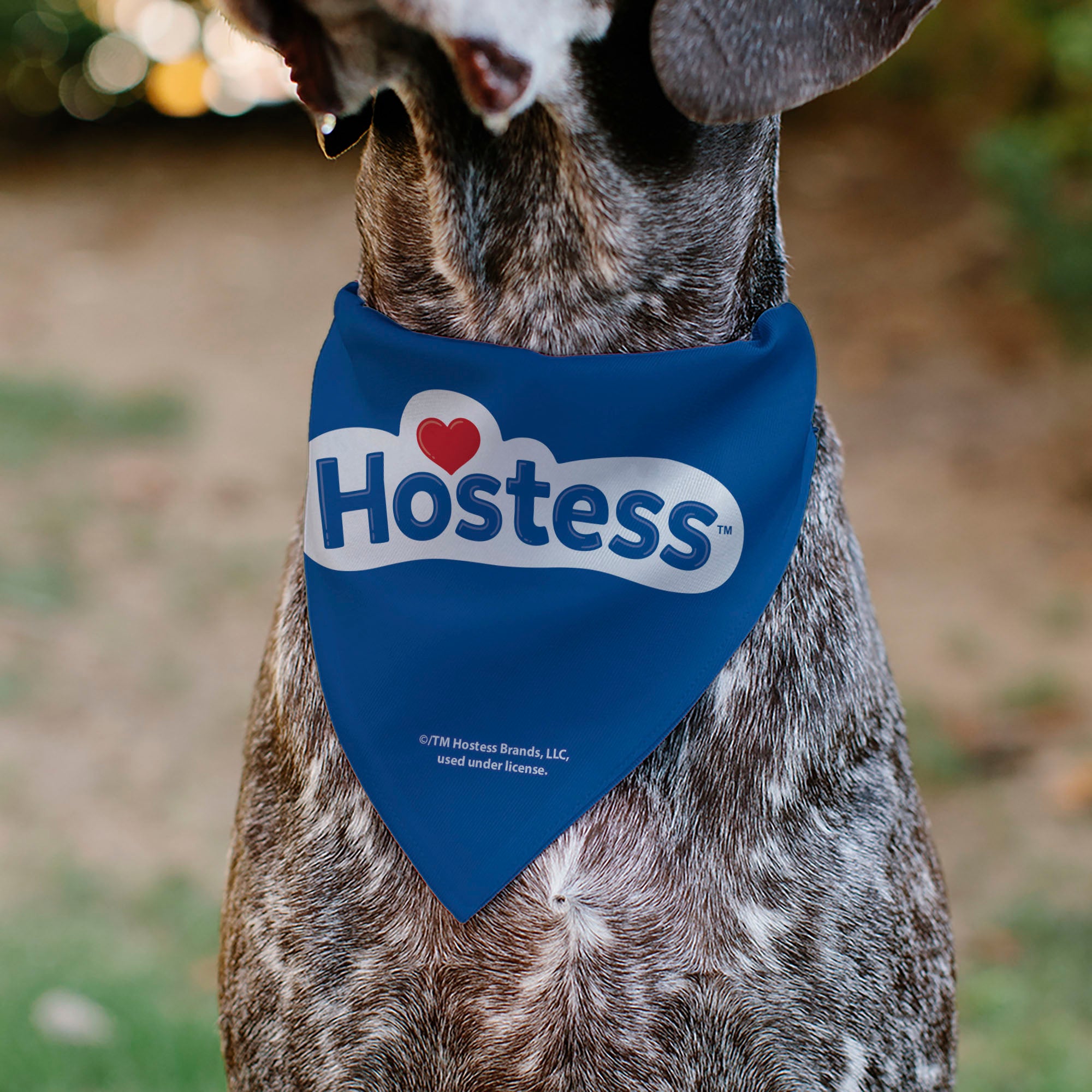 Pet Bandana - Hostess Twinkies Pieces and Logo Blue/Yellow/White