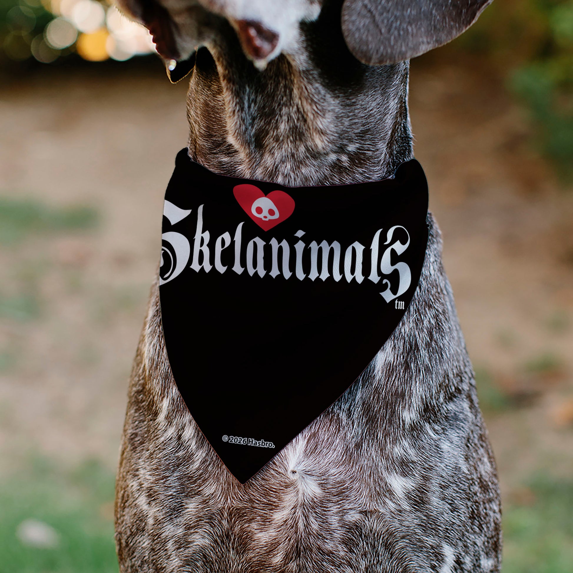 Pet Bandana - Skelanimals Diego Pose and Title Logo White/Black Pet Bandanas Skelanimals