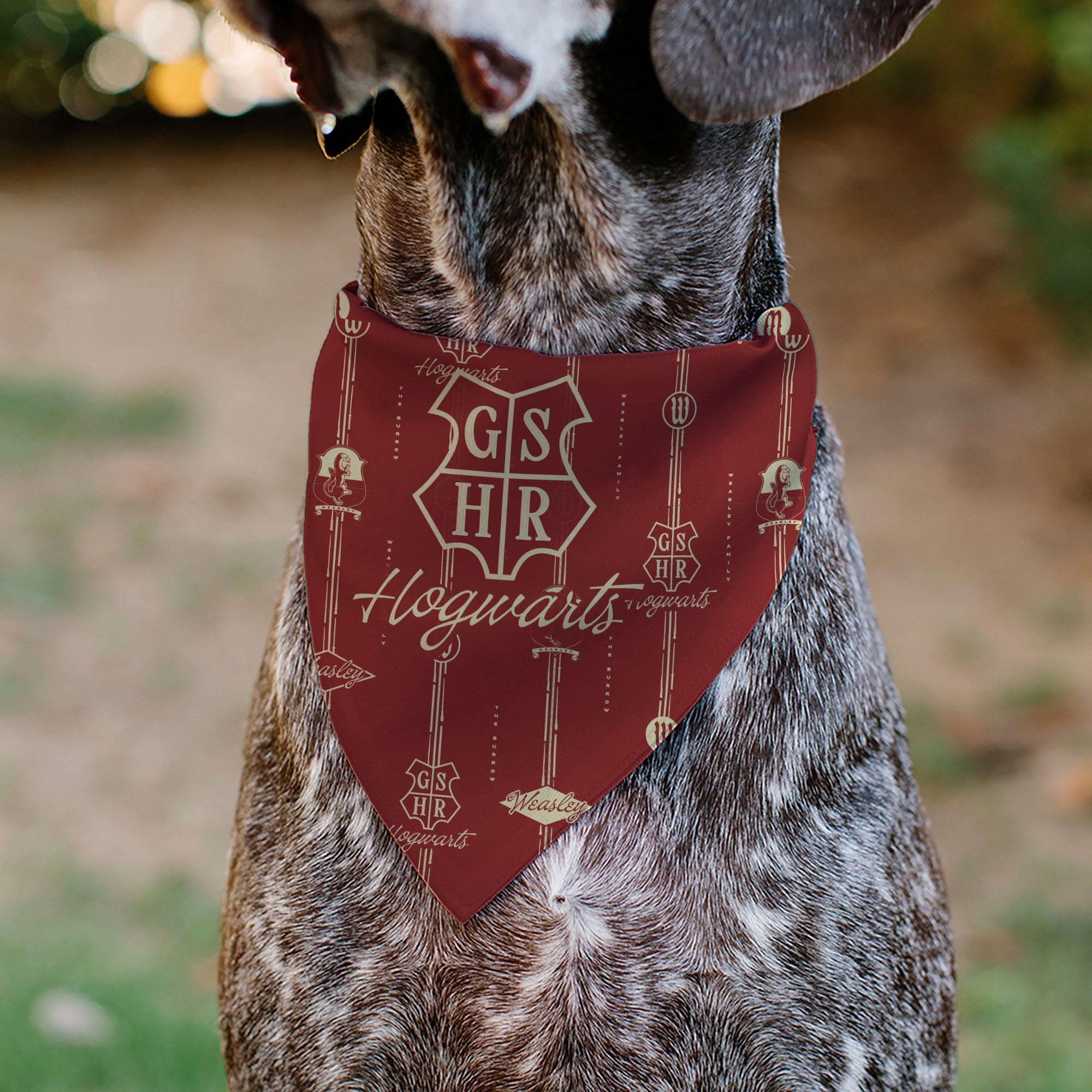 Pet Bandana - HOGWARTS WEASLEY Monogram Icons Red/White
