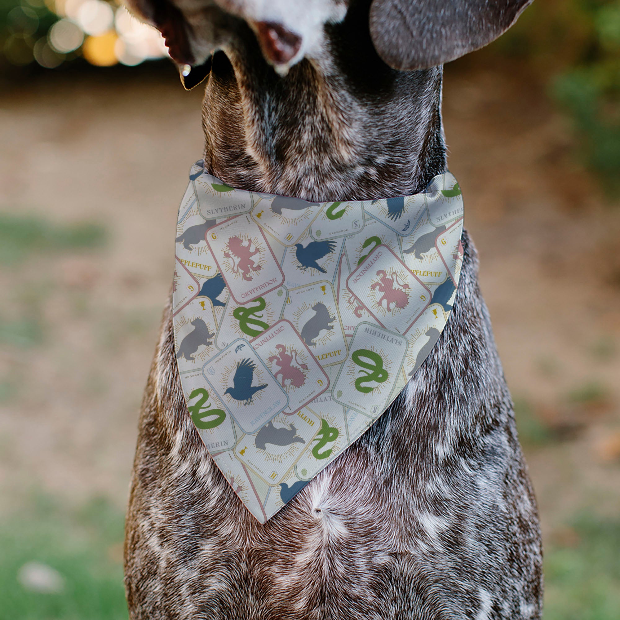 Pet Bandana - Harry Potter School Tarot Cards Stacked Beige/Multi Color Pet Bandanas Harry Potter