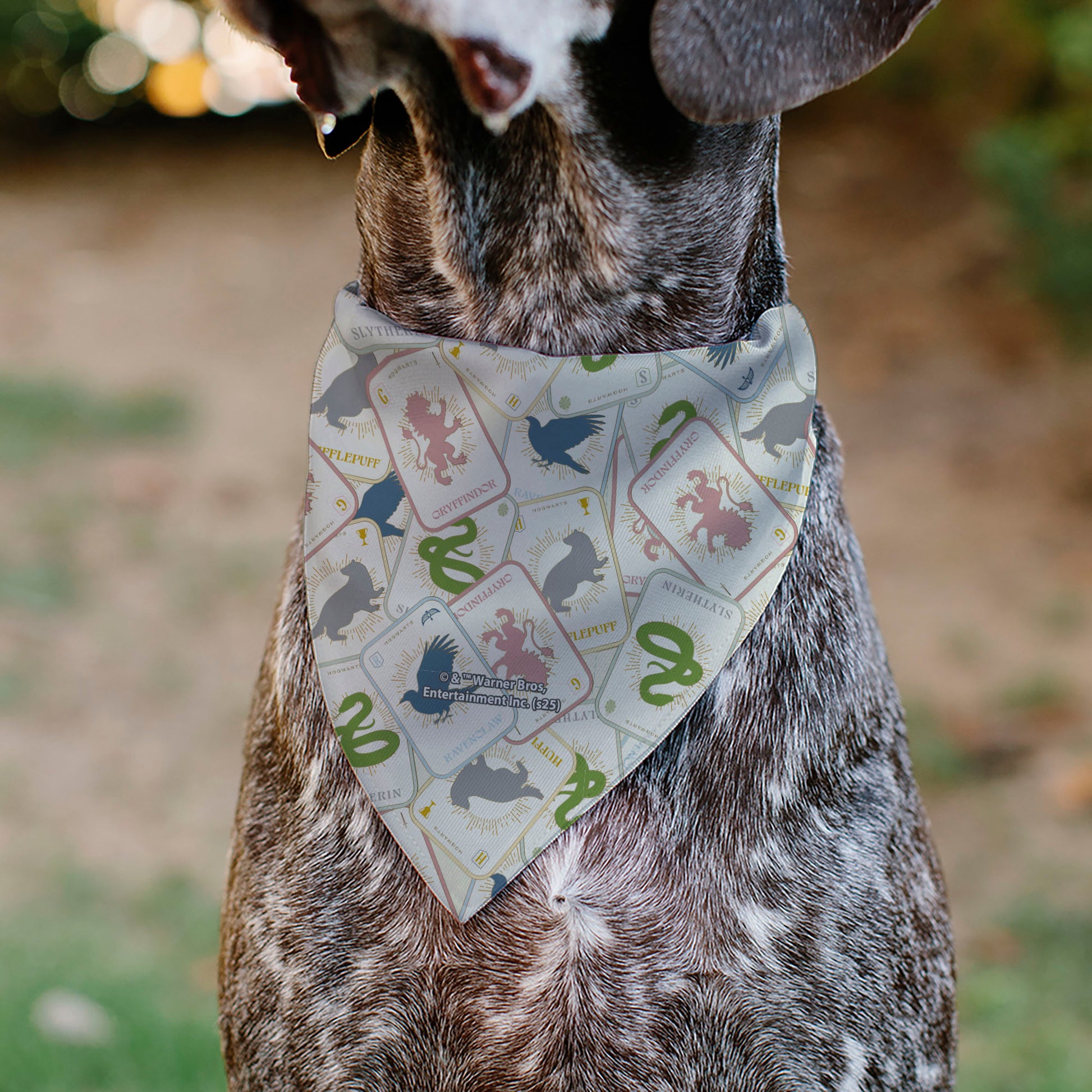 Pet Bandana - Harry Potter School Tarot Cards Stacked Beige/Multi Color Pet Bandanas Harry Potter