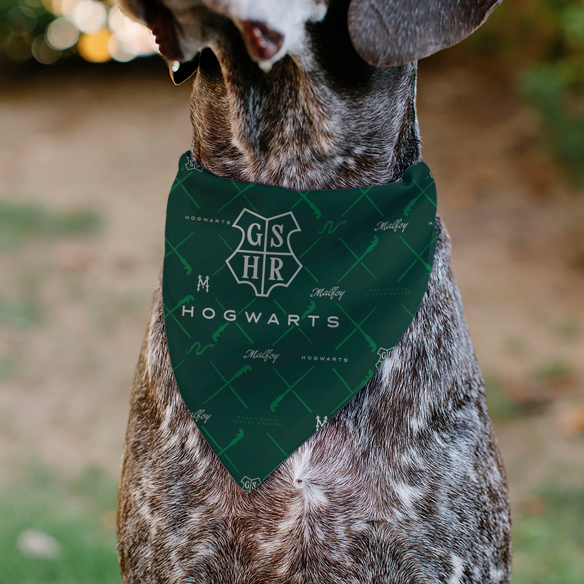 Pet Bandana - HOGWARTS MALFOY Monogram Icons Greens/White Pet Bandanas Harry Potter