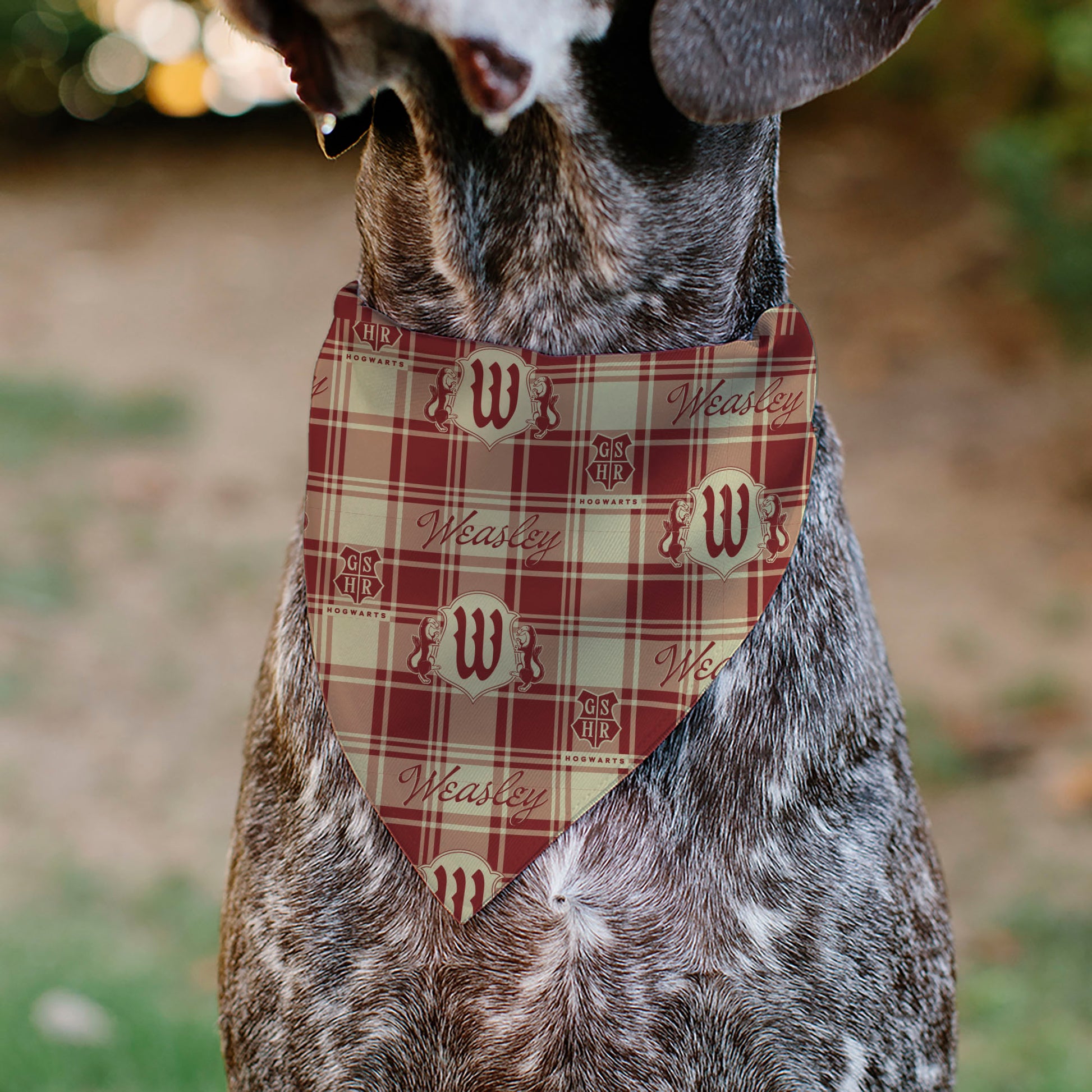 Pet Bandana - Harry Potter WEASLEY Family House Crest Plaid Beige/Burgundy Pet Bandanas Harry Potter
