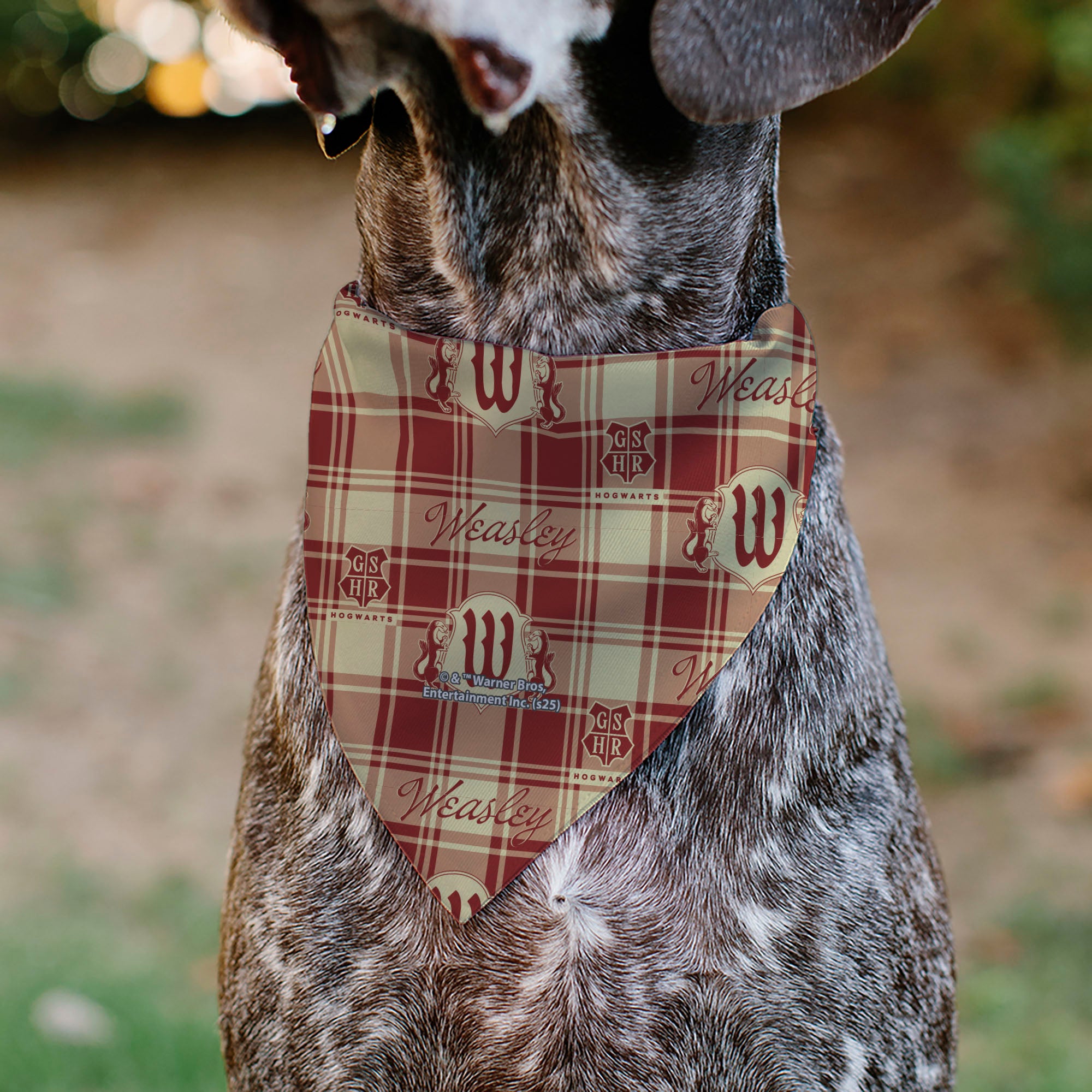 Pet Bandana - Harry Potter WEASLEY Family House Crest Plaid Beige/Burgundy Pet Bandanas Harry Potter