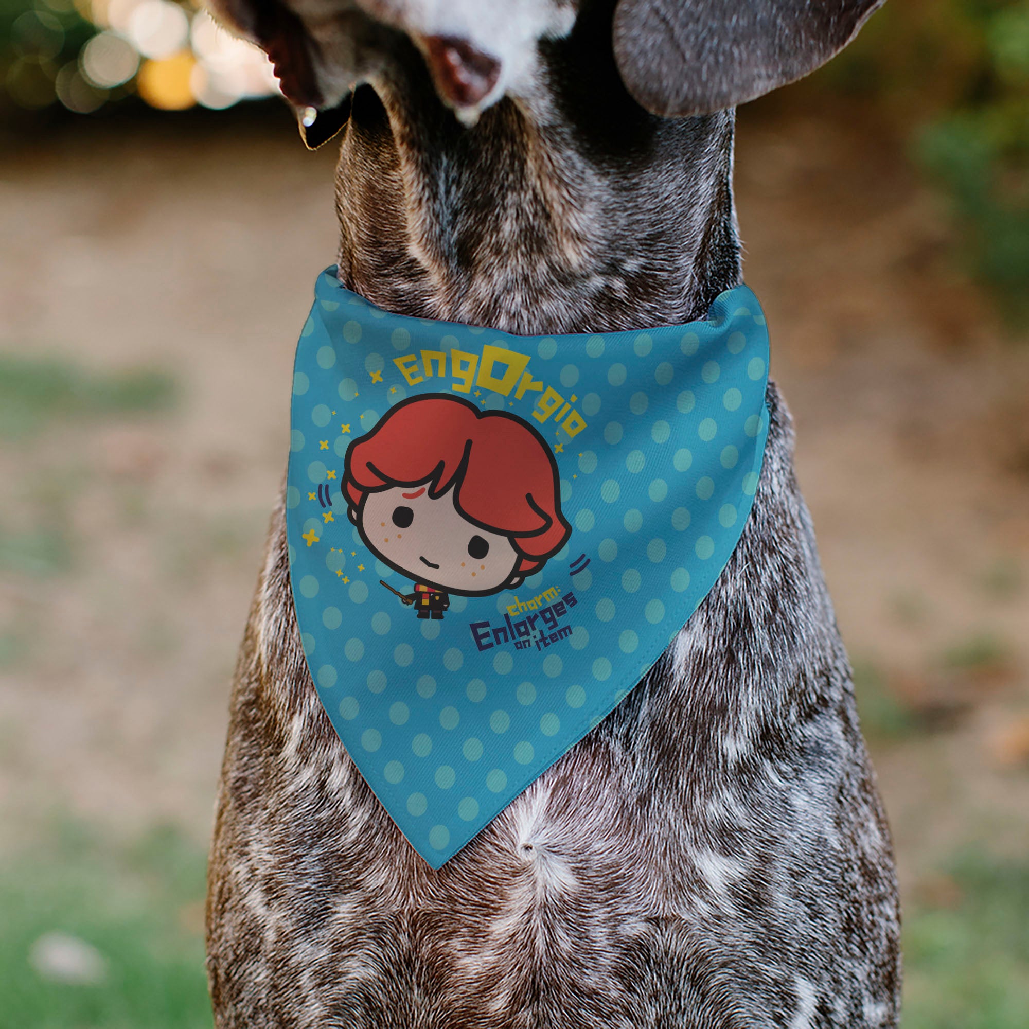 Pet Bandana - Chibi Harry Potter ENGORGIO CHARM Pose Polka Dot Blues Pet Bandanas Harry Potter
