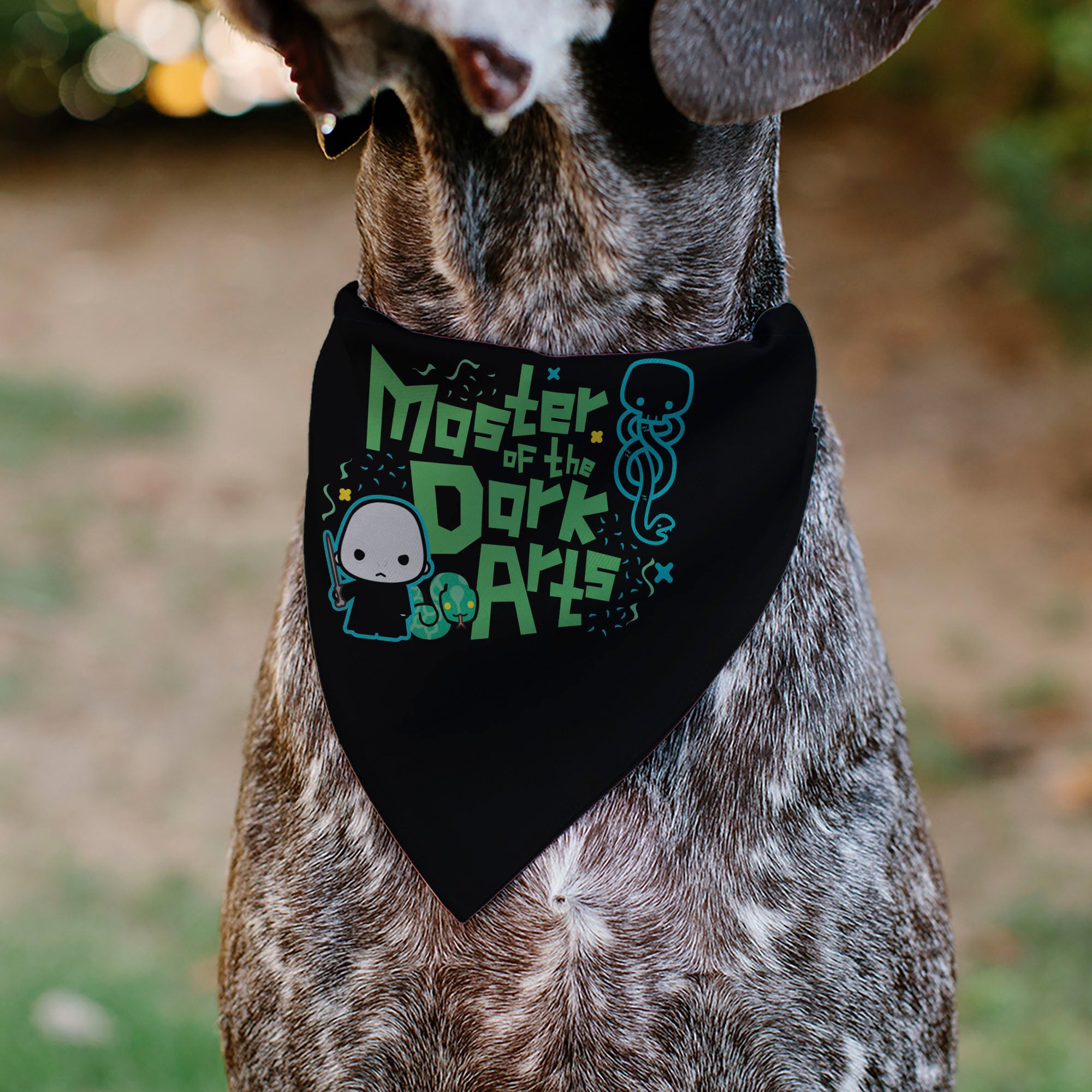 Pet Bandana - Chibi Voldemort MASTER OF THE DARK ARTS Pose Black/Greens/Blues Pet Bandanas Harry Potter