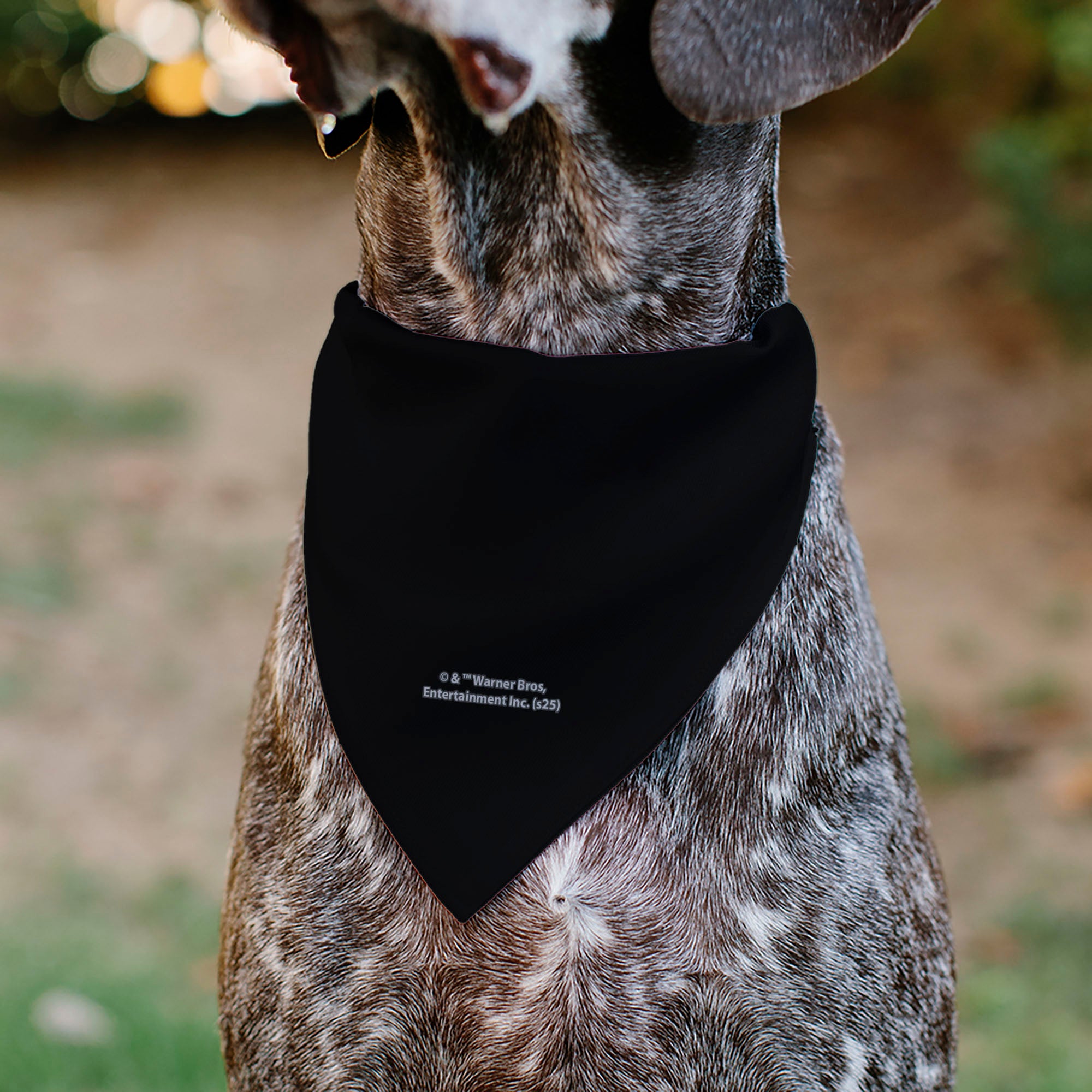 Pet Bandana - Chibi Voldemort MASTER OF THE DARK ARTS Pose Black/Greens/Blues Pet Bandanas Harry Potter