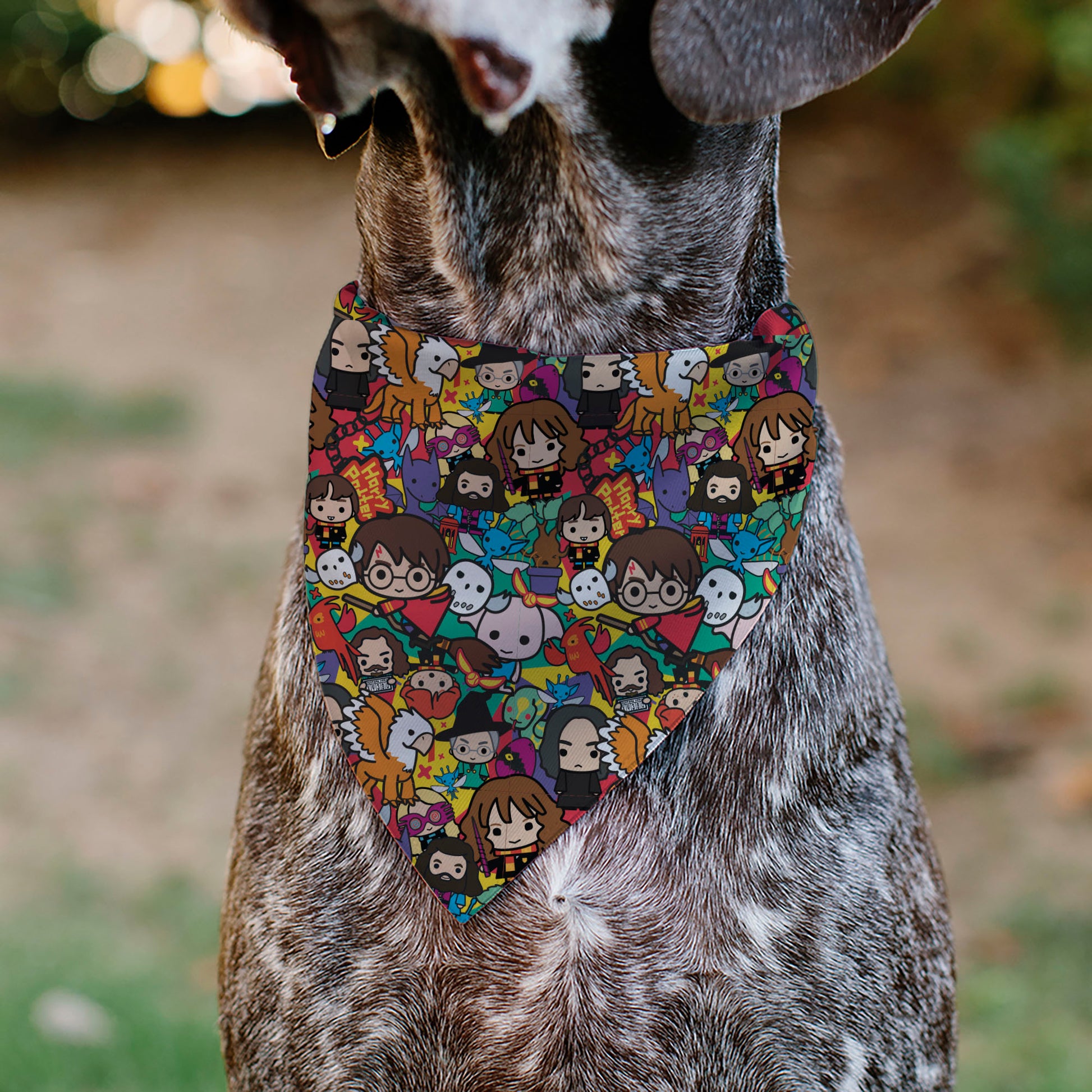 Pet Bandana - Harry Potter Chibi Charm Characters Stacked Pet Bandanas Harry Potter