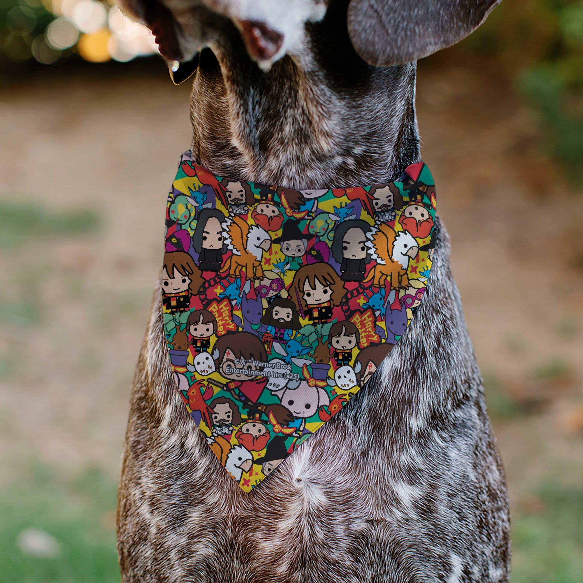 Pet Bandana - Harry Potter Chibi Charm Characters Stacked Pet Bandanas Harry Potter