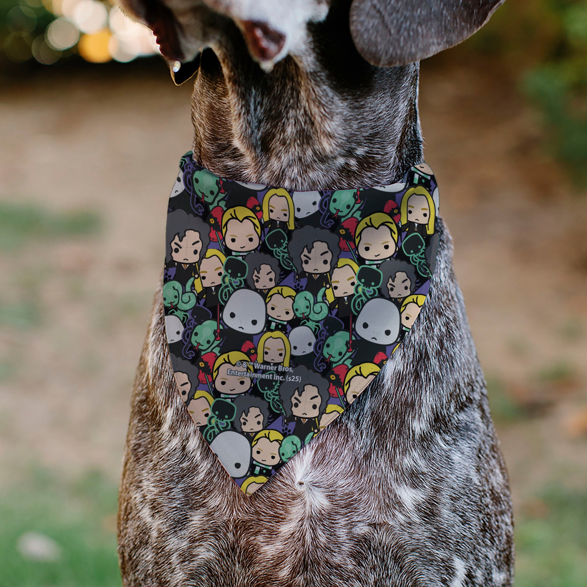 Pet Bandana - Harry Potter Chibi Charm Dark Arts Characters Stacked Pet Bandanas Harry Potter
