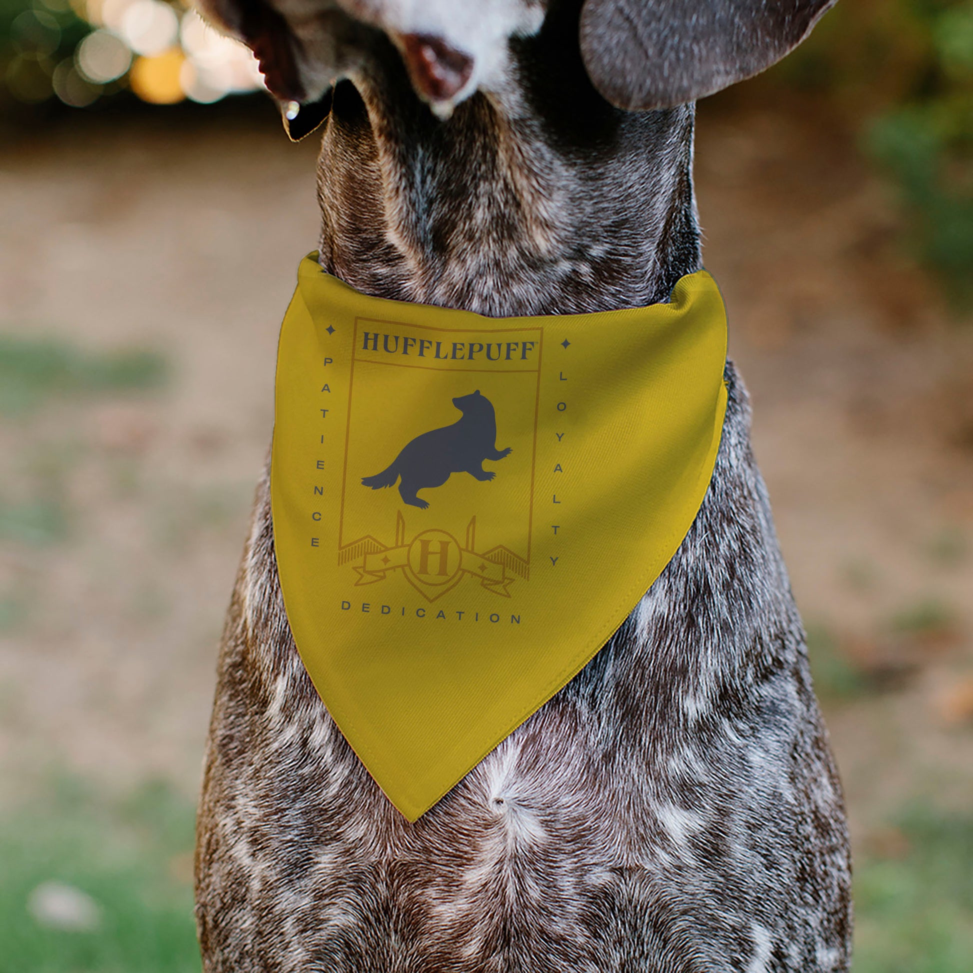 Pet Bandana - Harry Potter HUFFLEPUFF Traits Banner and Icons Yellows/Blue Pet Bandanas Harry Potter