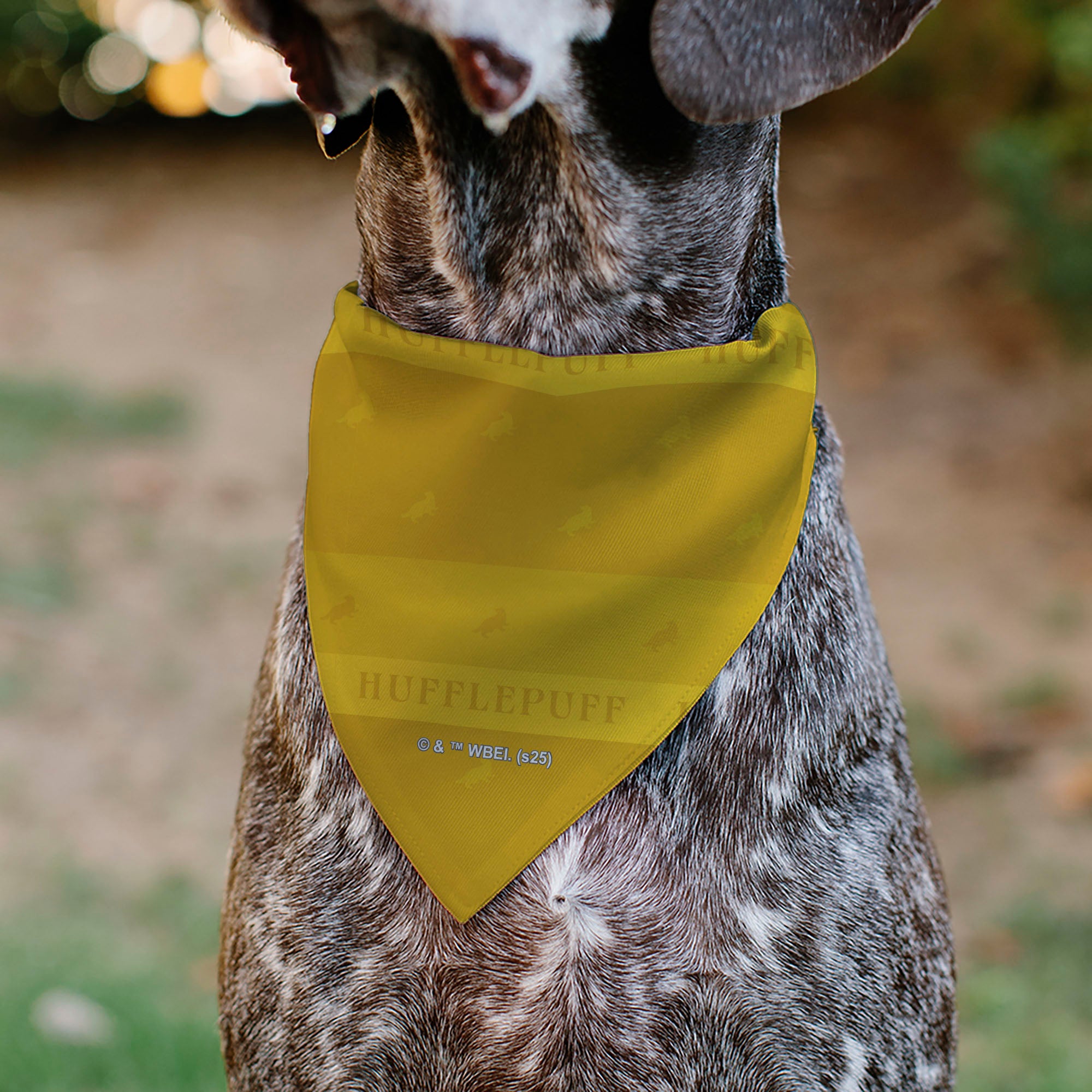 Pet Bandana - Harry Potter HUFFLEPUFF Traits Banner and Icons Yellows/Blue Pet Bandanas Harry Potter