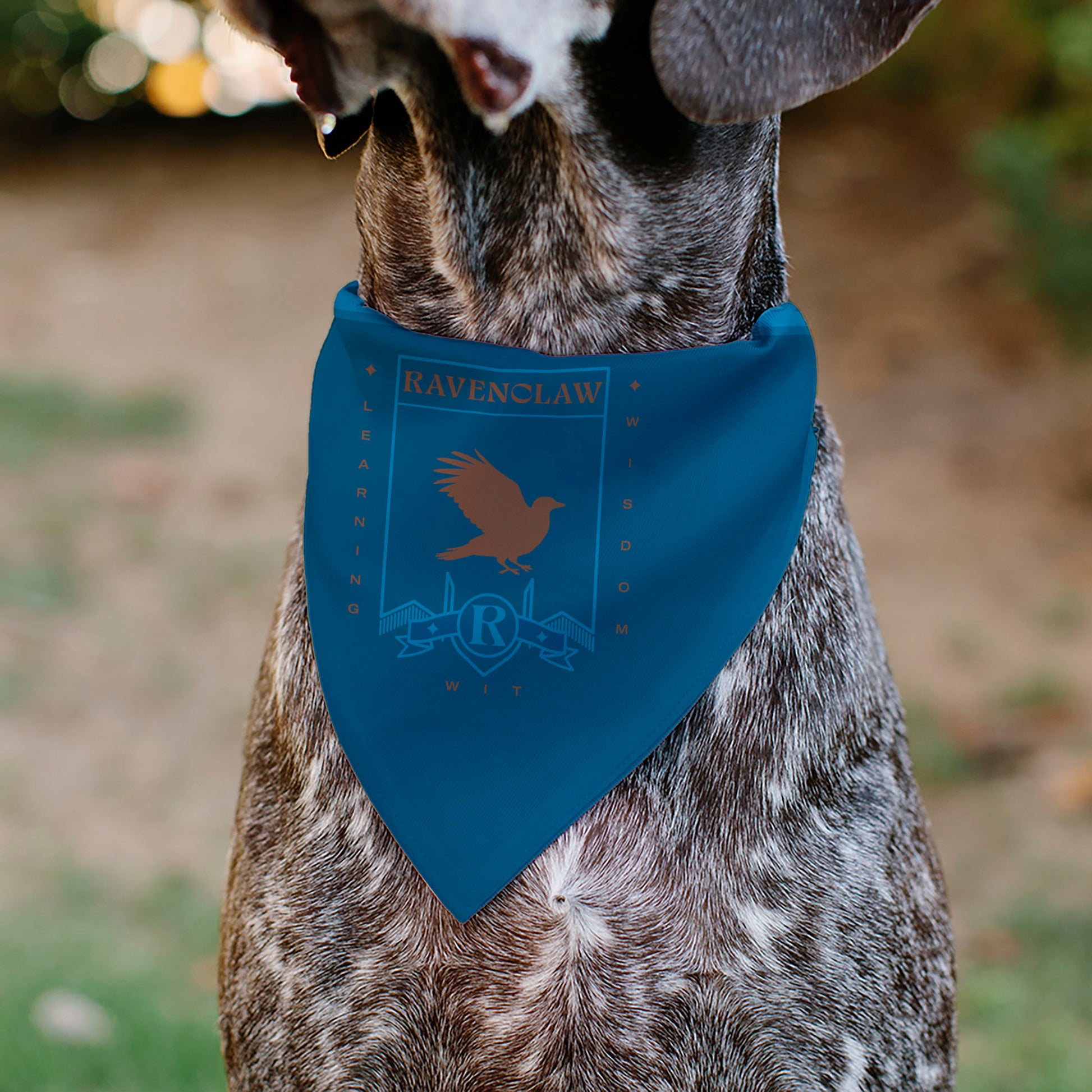 Pet Bandana - Harry Potter RAVENCLAW Traits Banner and Icons Blues/Yellow Pet Bandanas Harry Potter