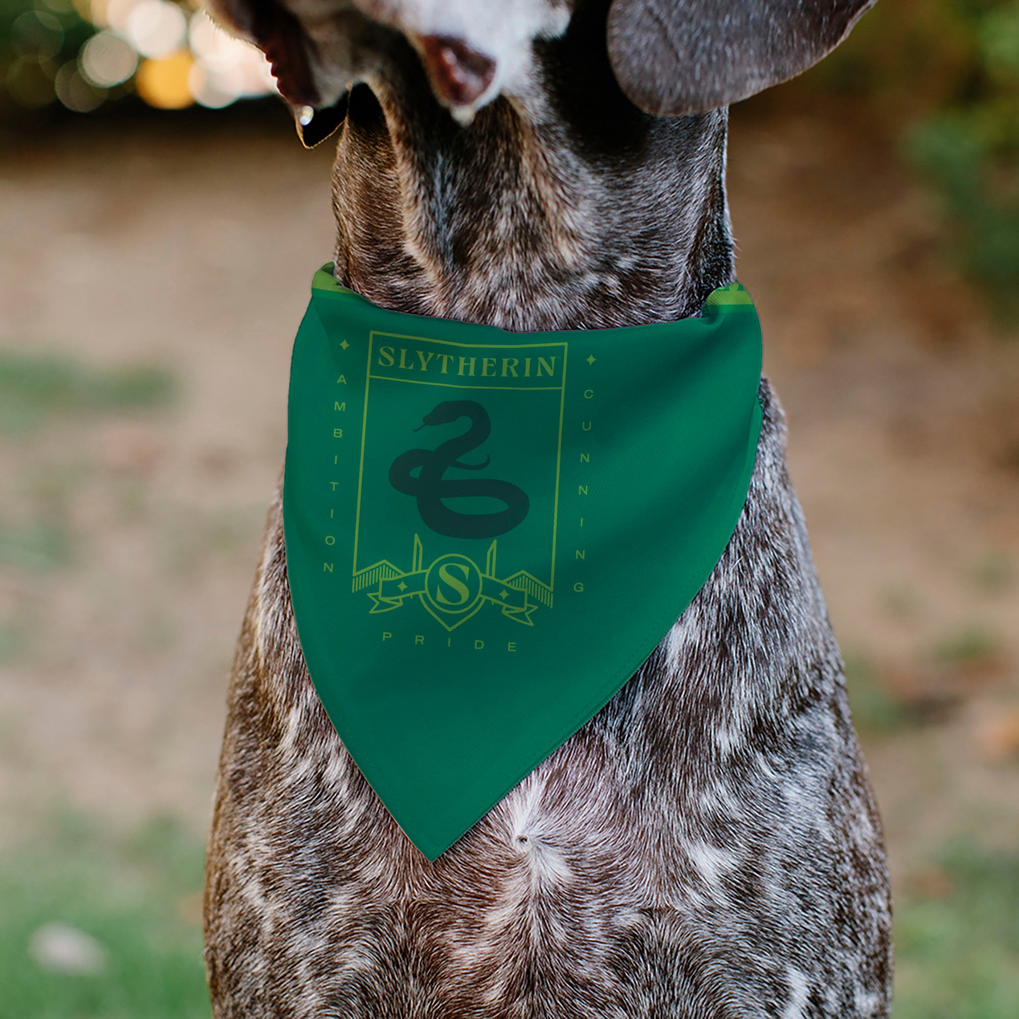 Pet Bandana - Harry Potter SLYTHERIN Traits Banner and Icons Greens/Yellow Pet Bandanas Harry Potter