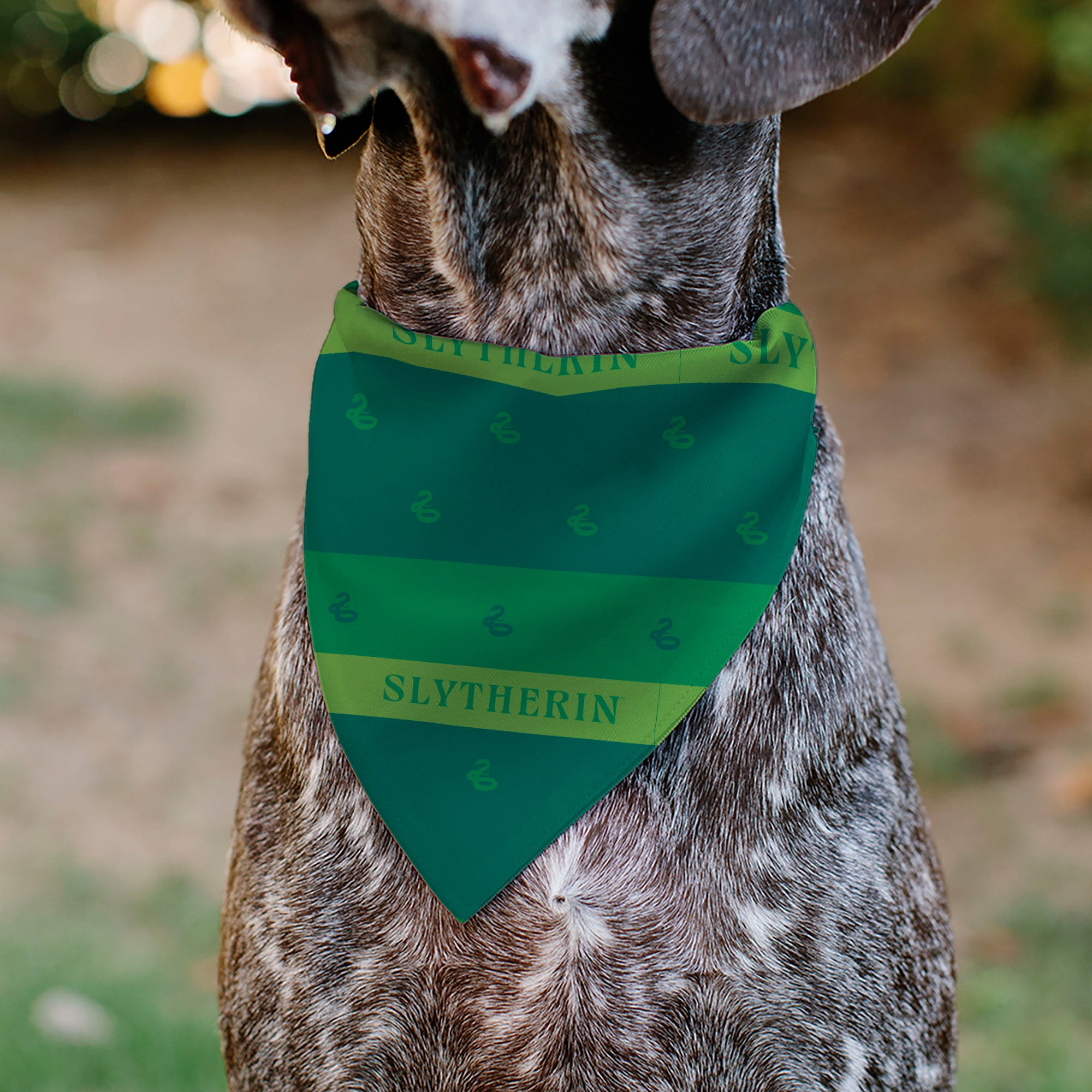 Pet Bandana - Harry Potter SLYTHERIN Traits Banner and Icons Greens/Yellow Pet Bandanas Harry Potter
