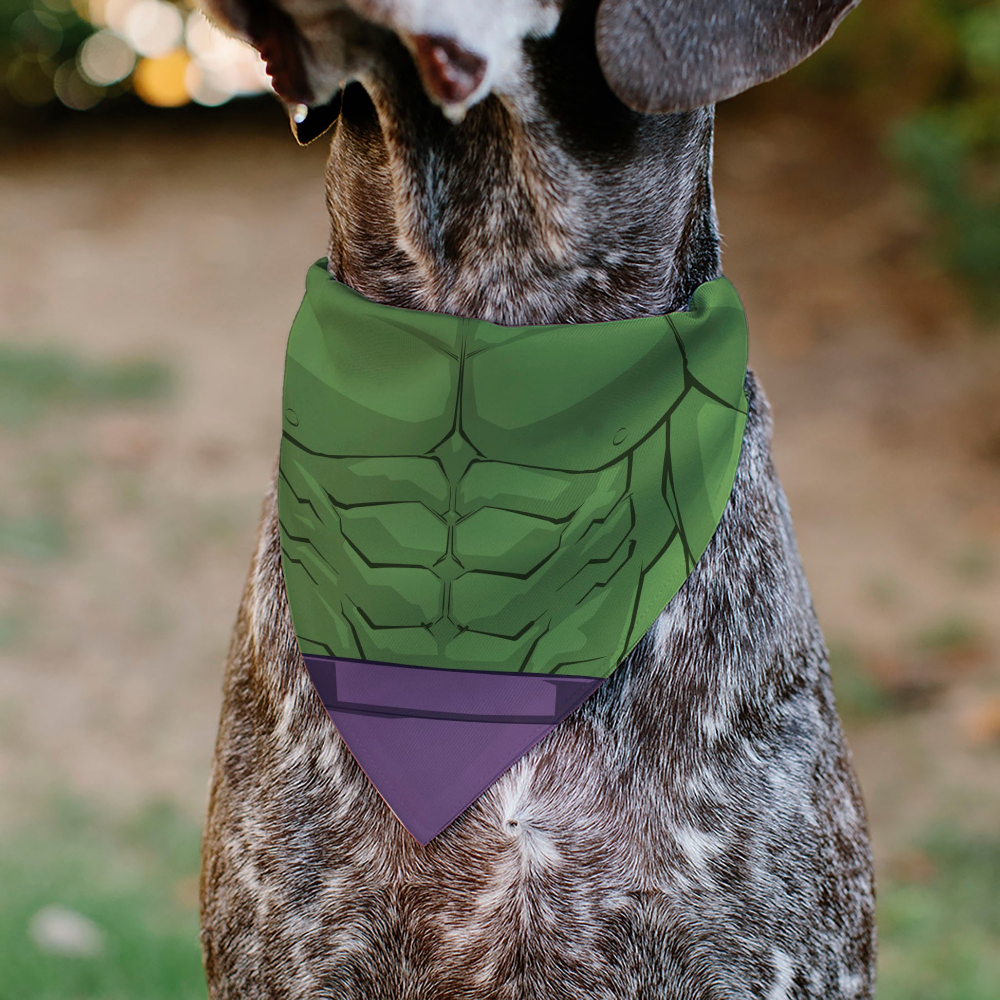 Pet Bandana - Hulk Chest Detail Green/Purple Pet Bandanas Marvel Comics
