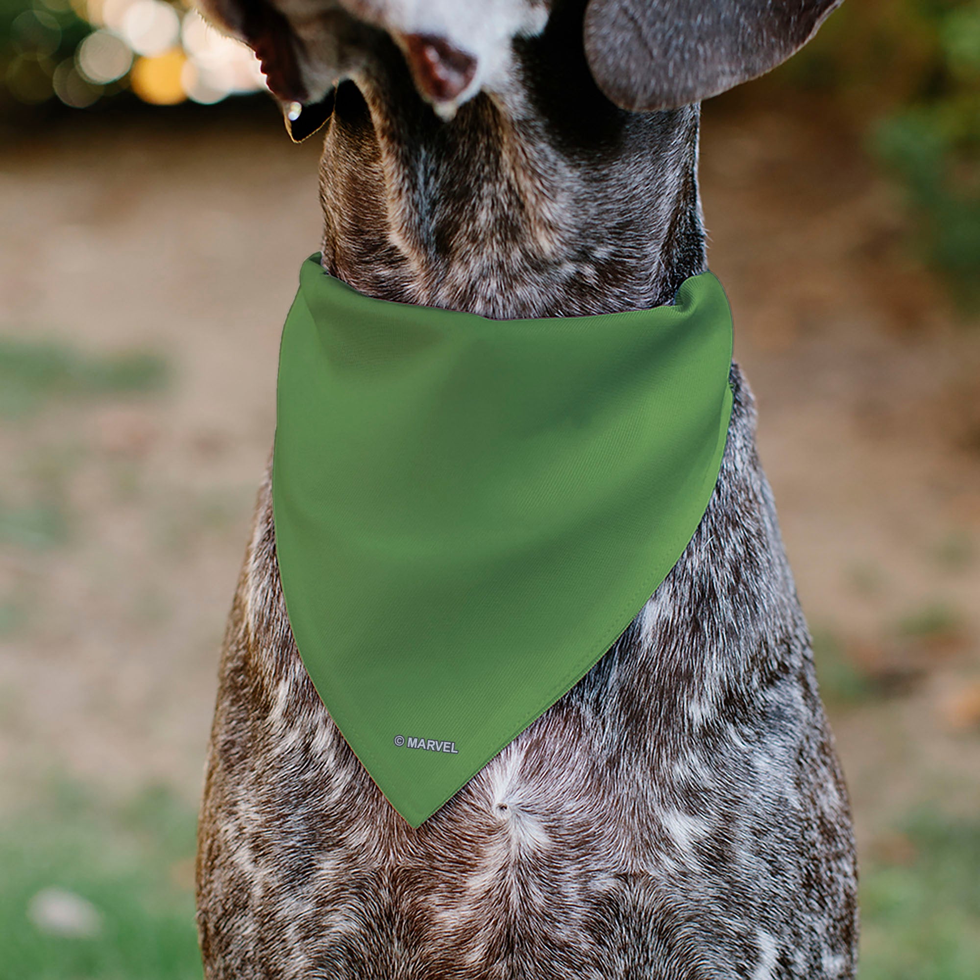 Pet Bandana - Hulk Chest Detail Green/Purple Pet Bandanas Marvel Comics