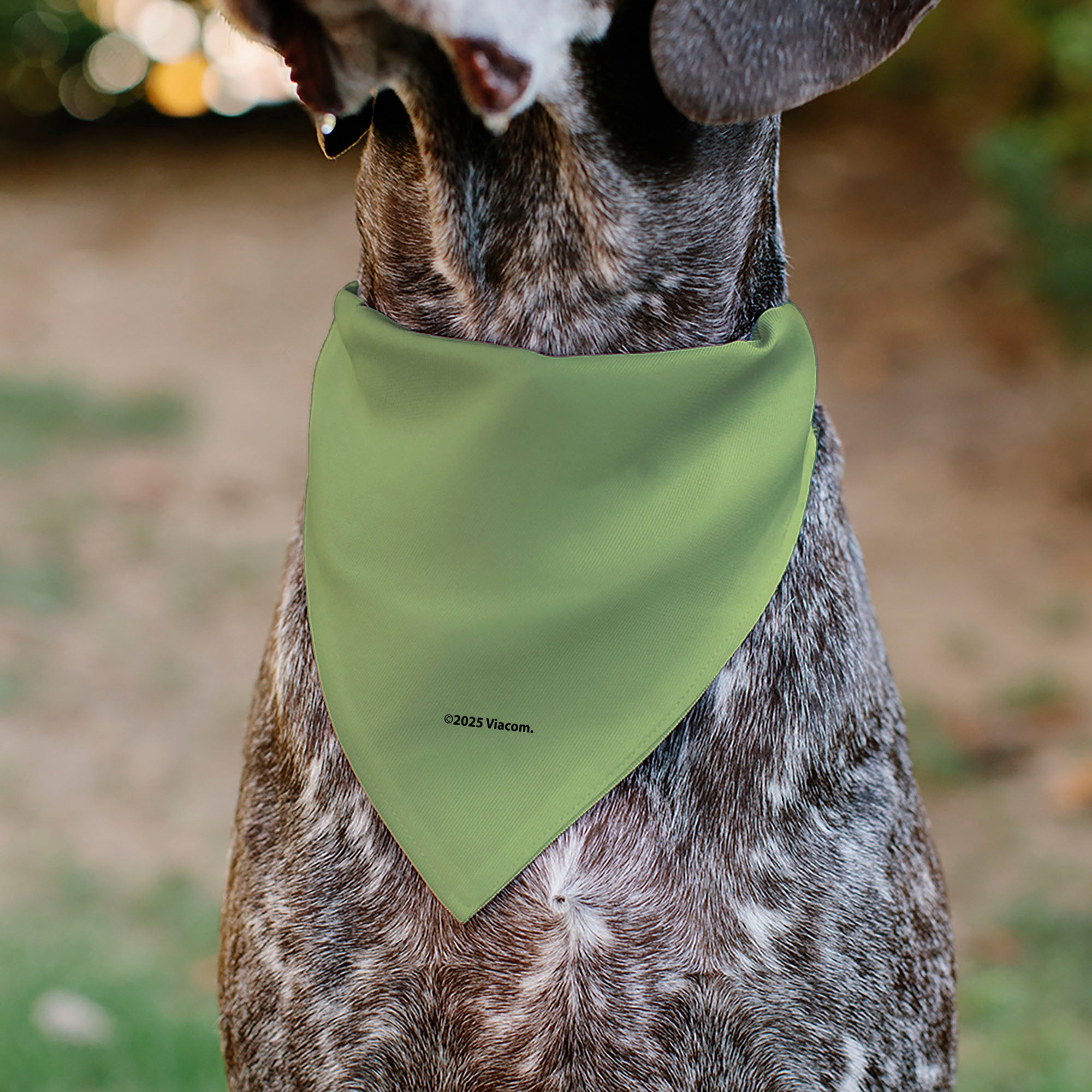 Pet Bandana - Invader Zim GIR Full Body Pose Close-Up Greens Pet Bandanas Invader Zim