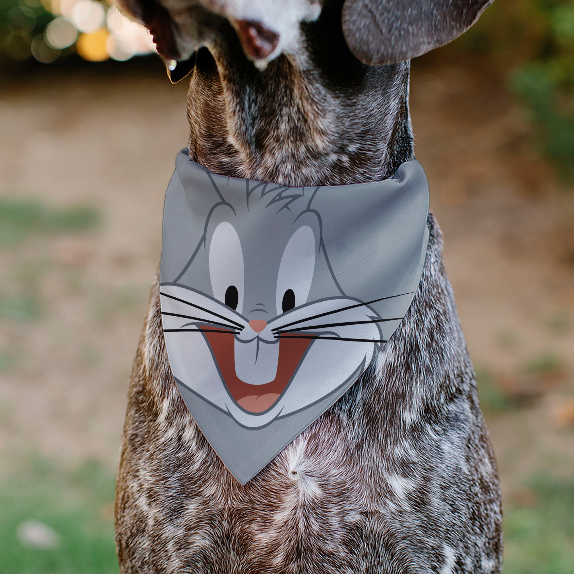 Pet Bandana - LOONEY TUNES Bugs Bunny Face Close-Up Gray