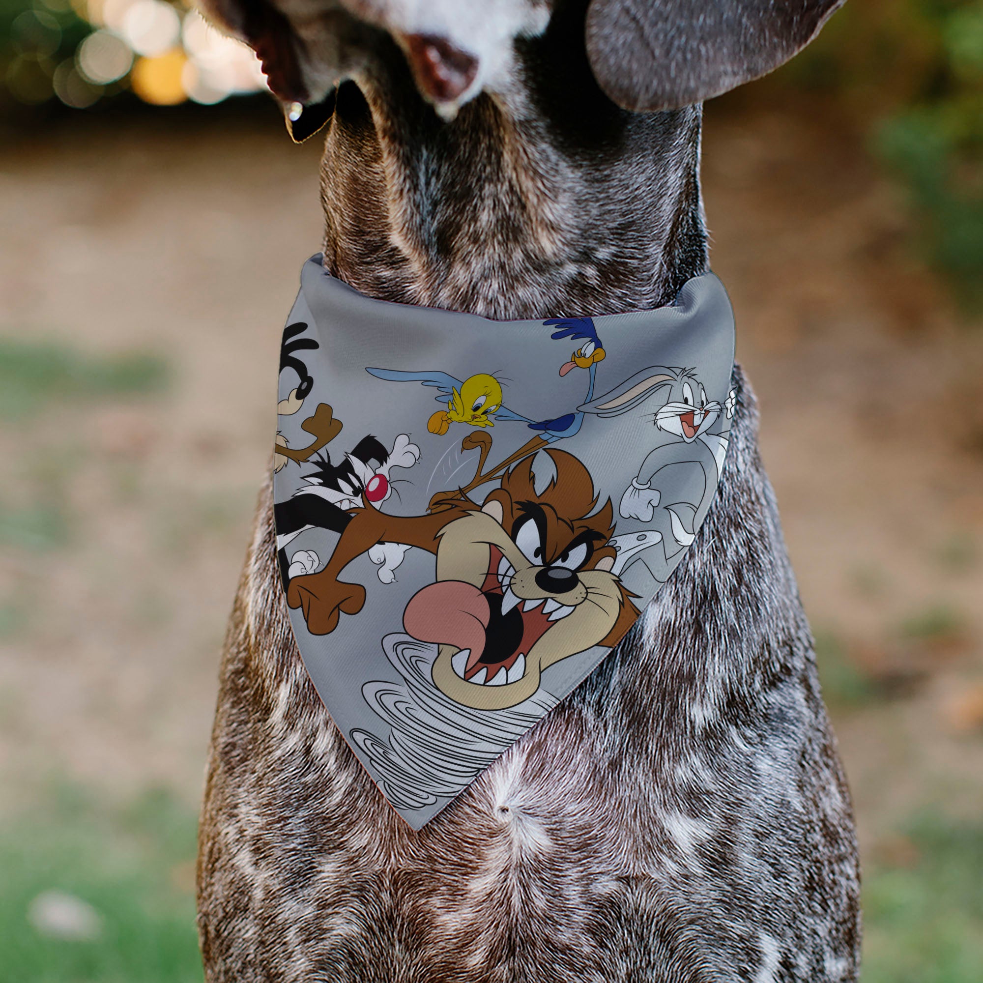Pet Bandana - LOONEY TUNES Seven Character Running Pose Gray