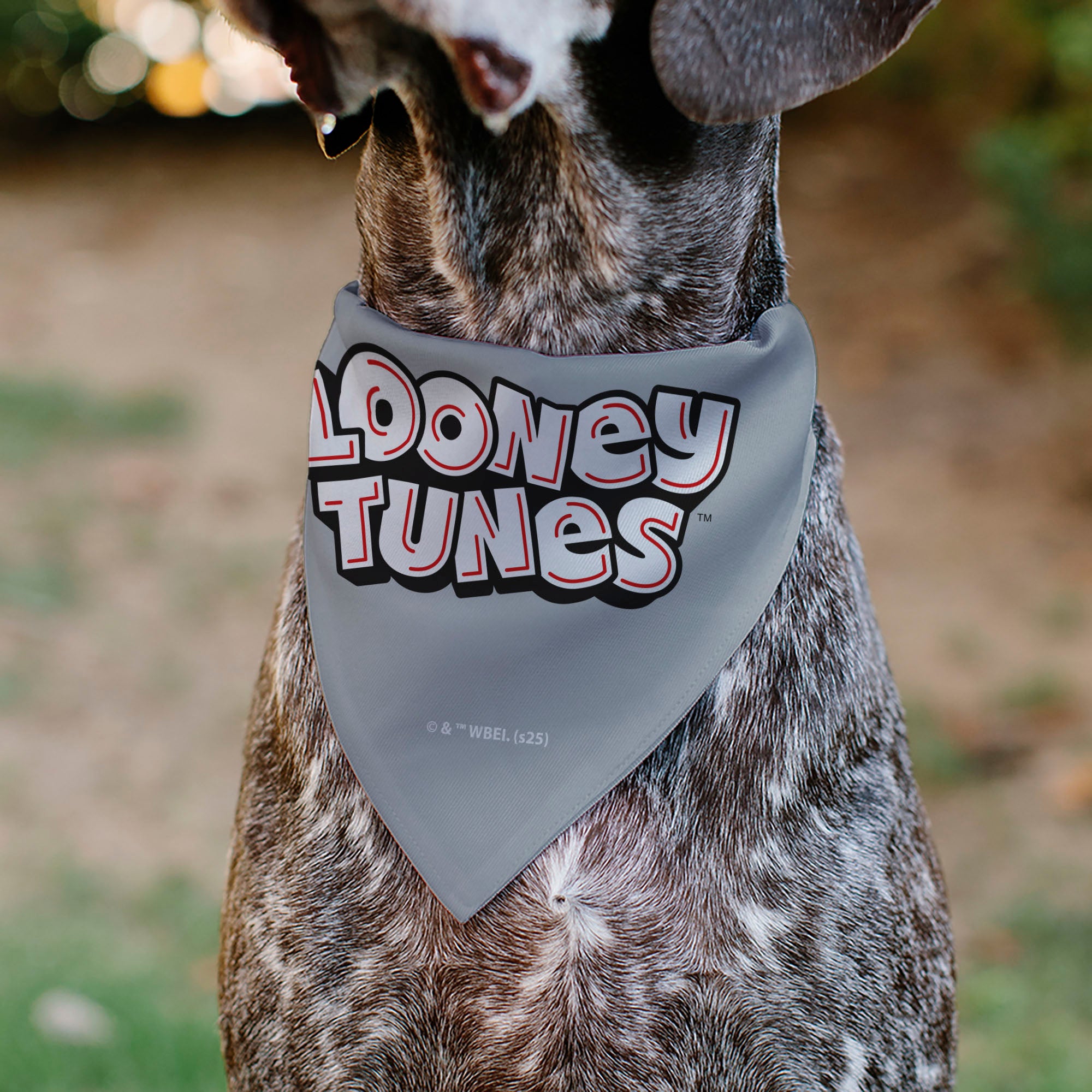 Pet Bandana - LOONEY TUNES Seven Character Running Pose Gray