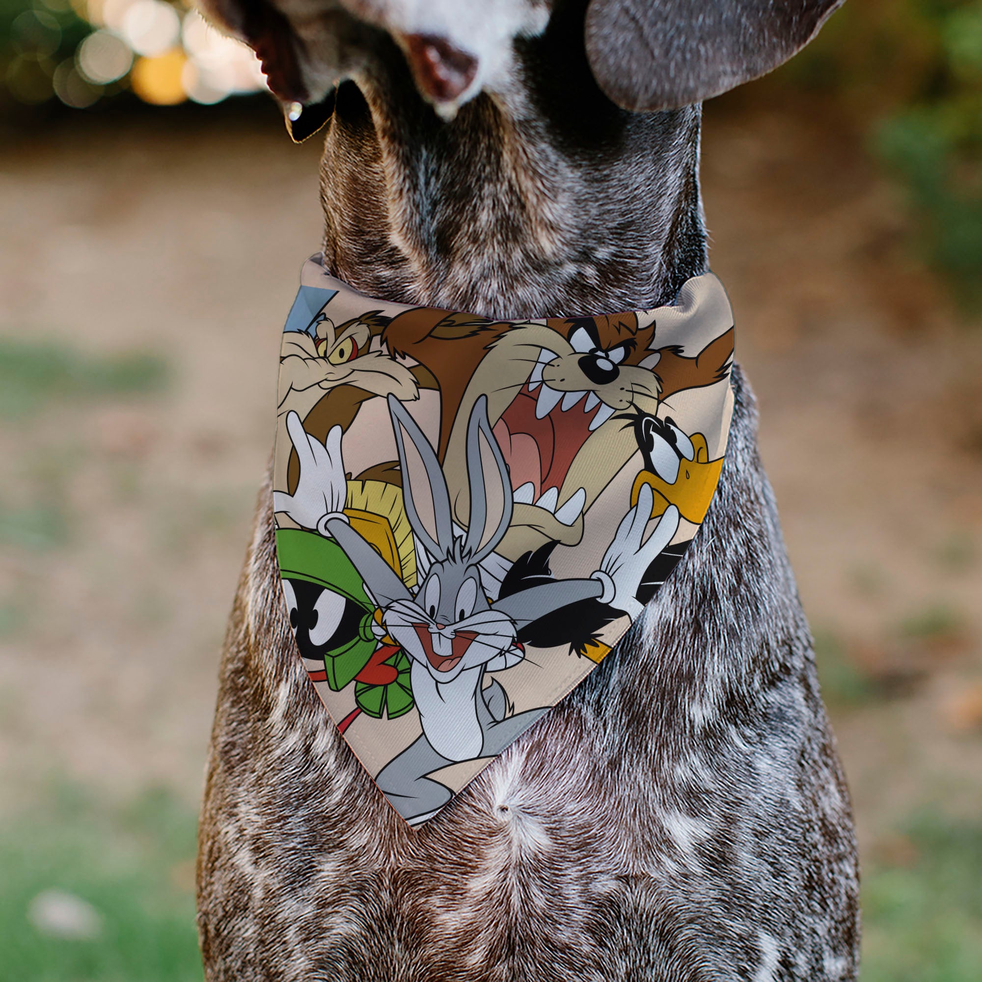 Pet Bandana - LOONEY TUNES Six Character Stack Pose Beige Pet Bandanas Looney Tunes