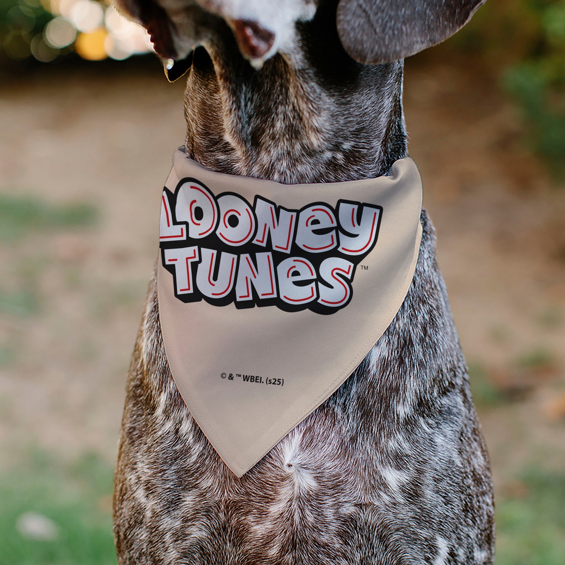 Pet Bandana - LOONEY TUNES Six Character Stack Pose Beige Pet Bandanas Looney Tunes