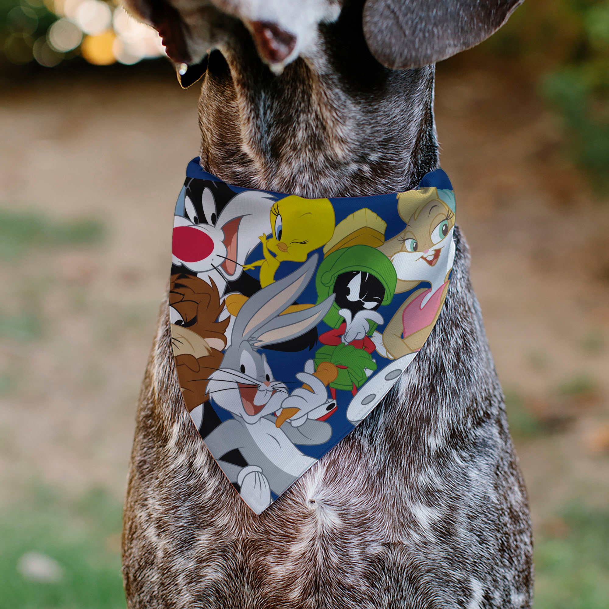 Pet Bandana - LOONEY TUNES Seven Character Stack Pose Blue