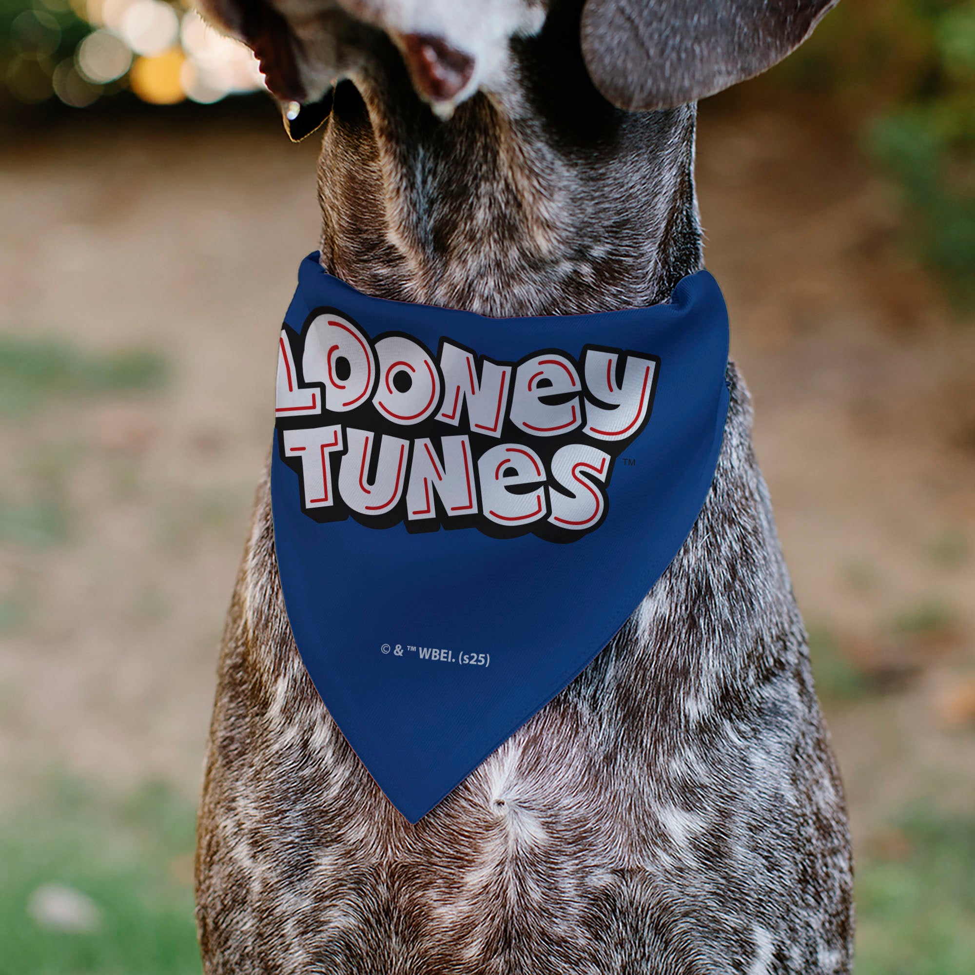 Pet Bandana - LOONEY TUNES Seven Character Stack Pose Blue