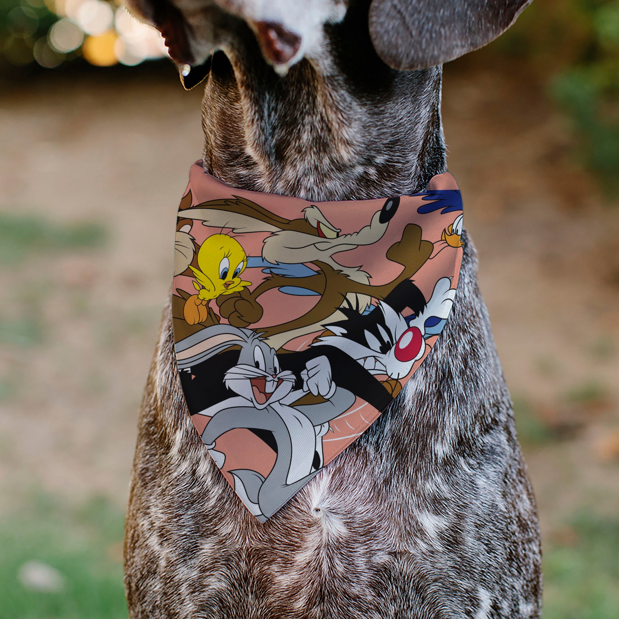 Pet Bandana - LOONEY TUNES Six Character Running Pose Pink