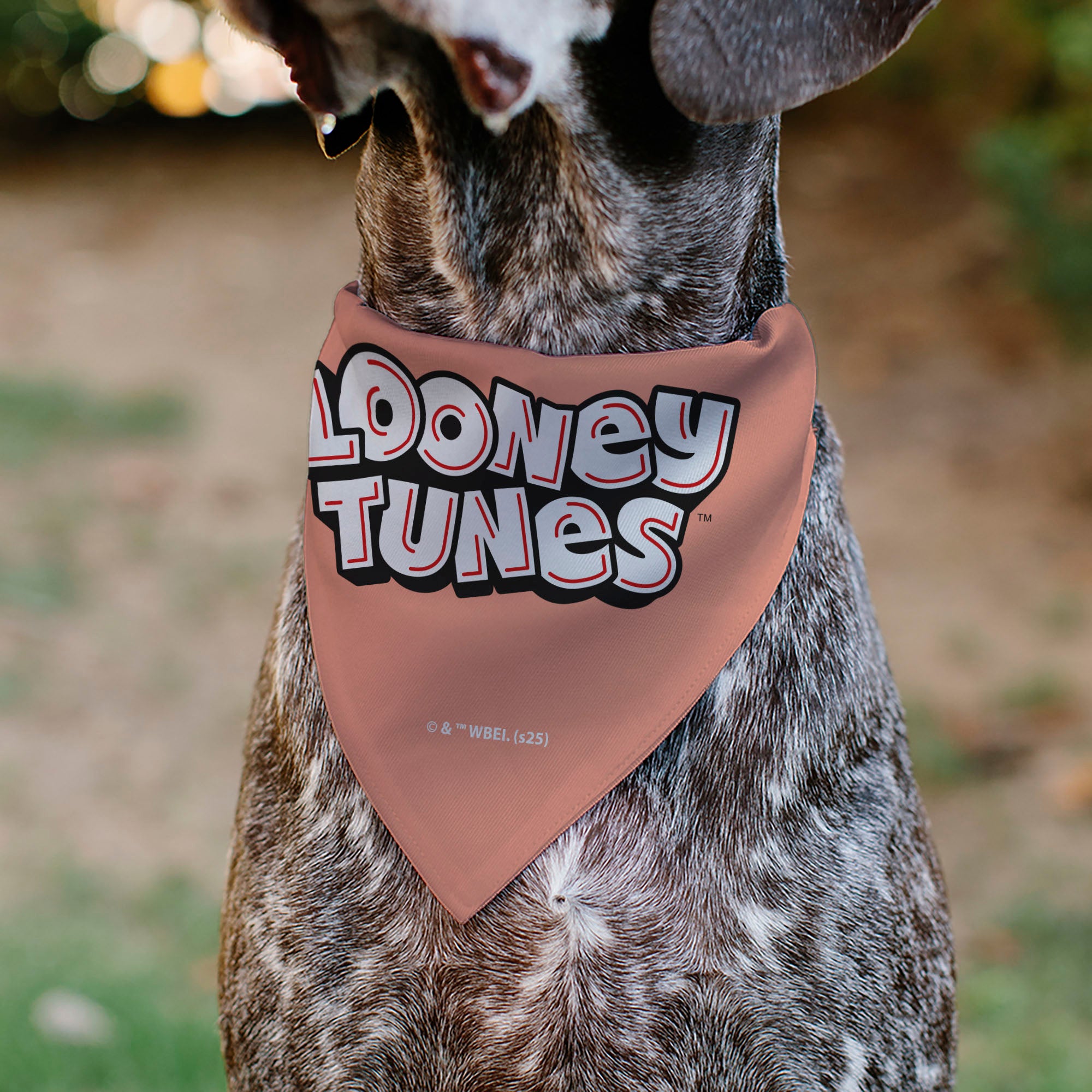 Pet Bandana - LOONEY TUNES Six Character Running Pose Pink