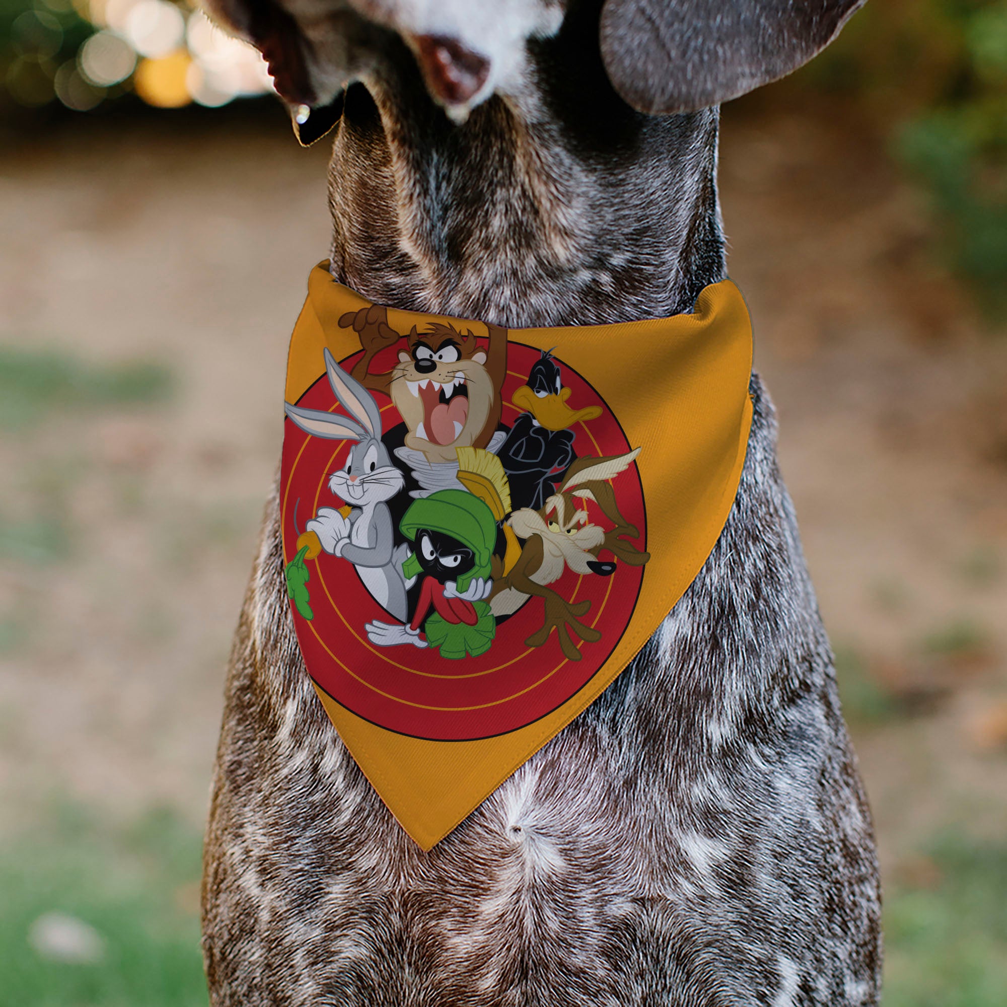 Pet Bandana - LOONEY TUNES Five Character Target Pose Orange