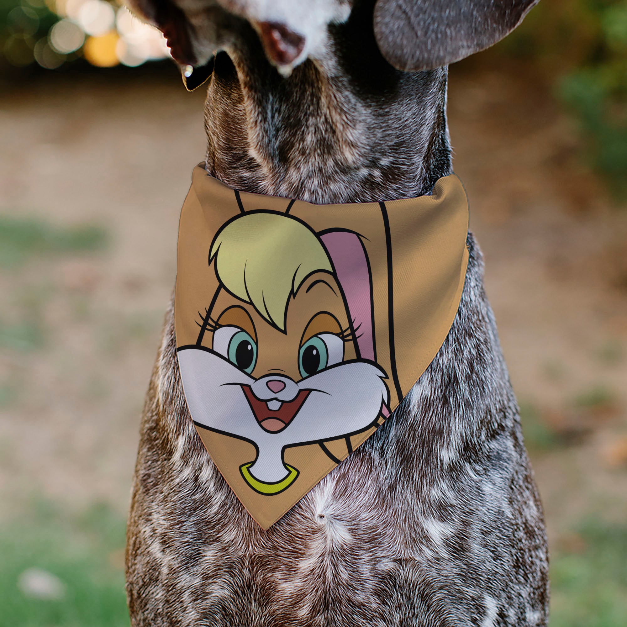 Pet Bandana - LOONEY TUNES Lola Bunny Face Close-Up Peach
