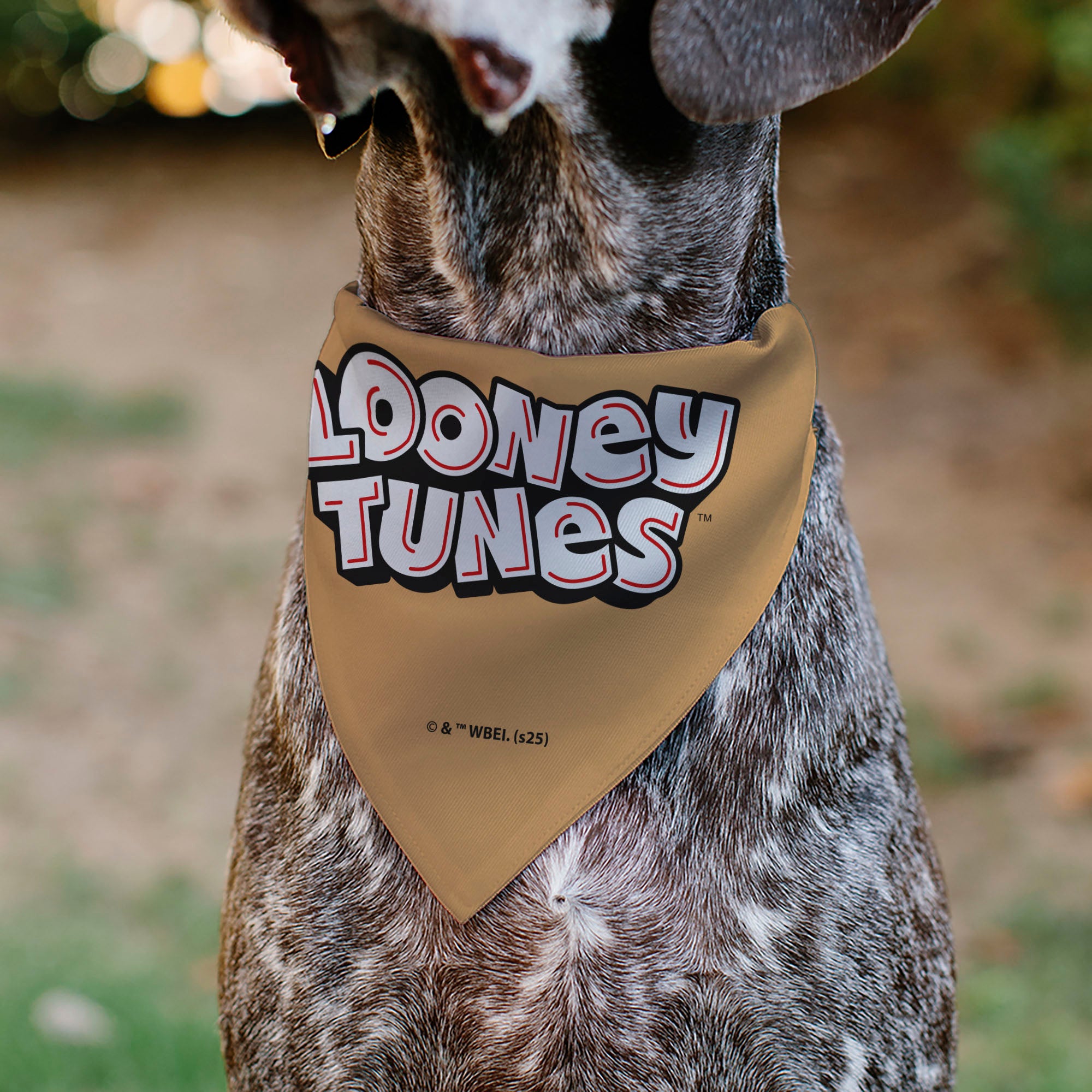 Pet Bandana - LOONEY TUNES Lola Bunny Face Close-Up Peach