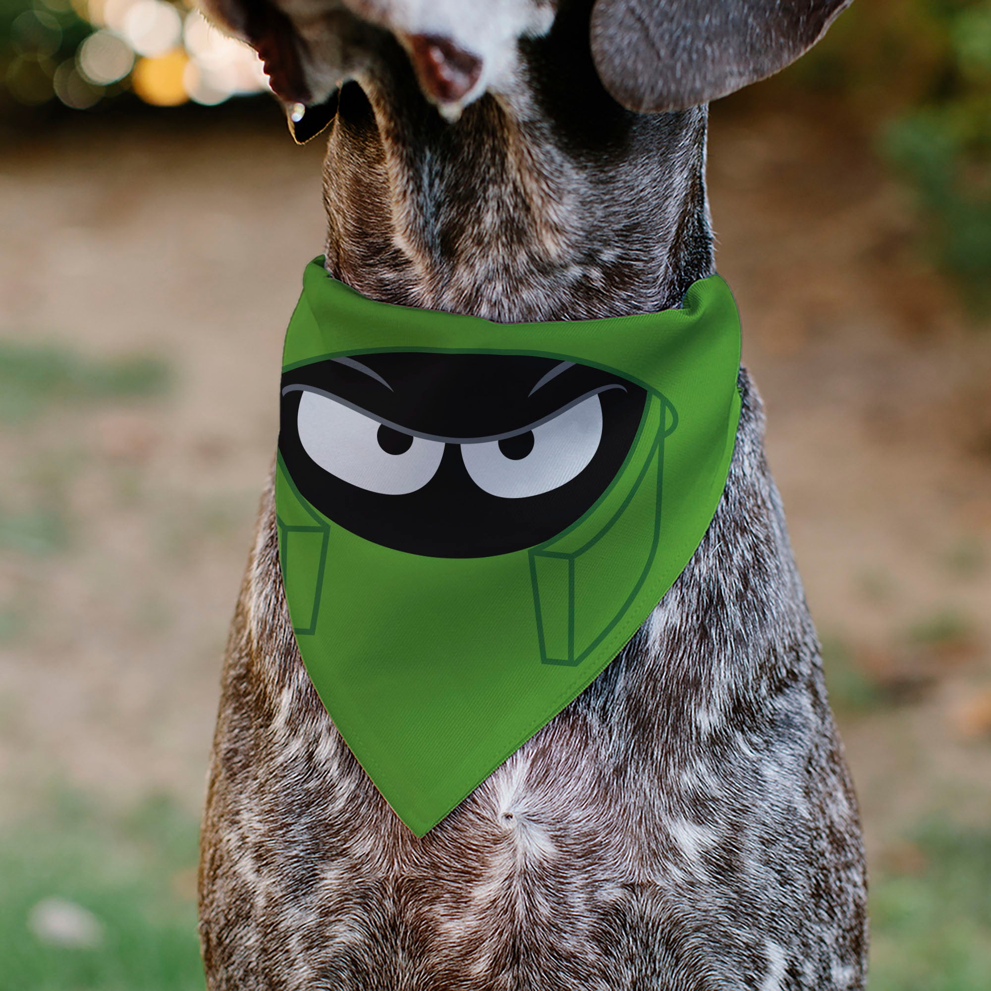 Pet Bandana - LOONEY TUNES Marvin the Martian Face Close-Up Green