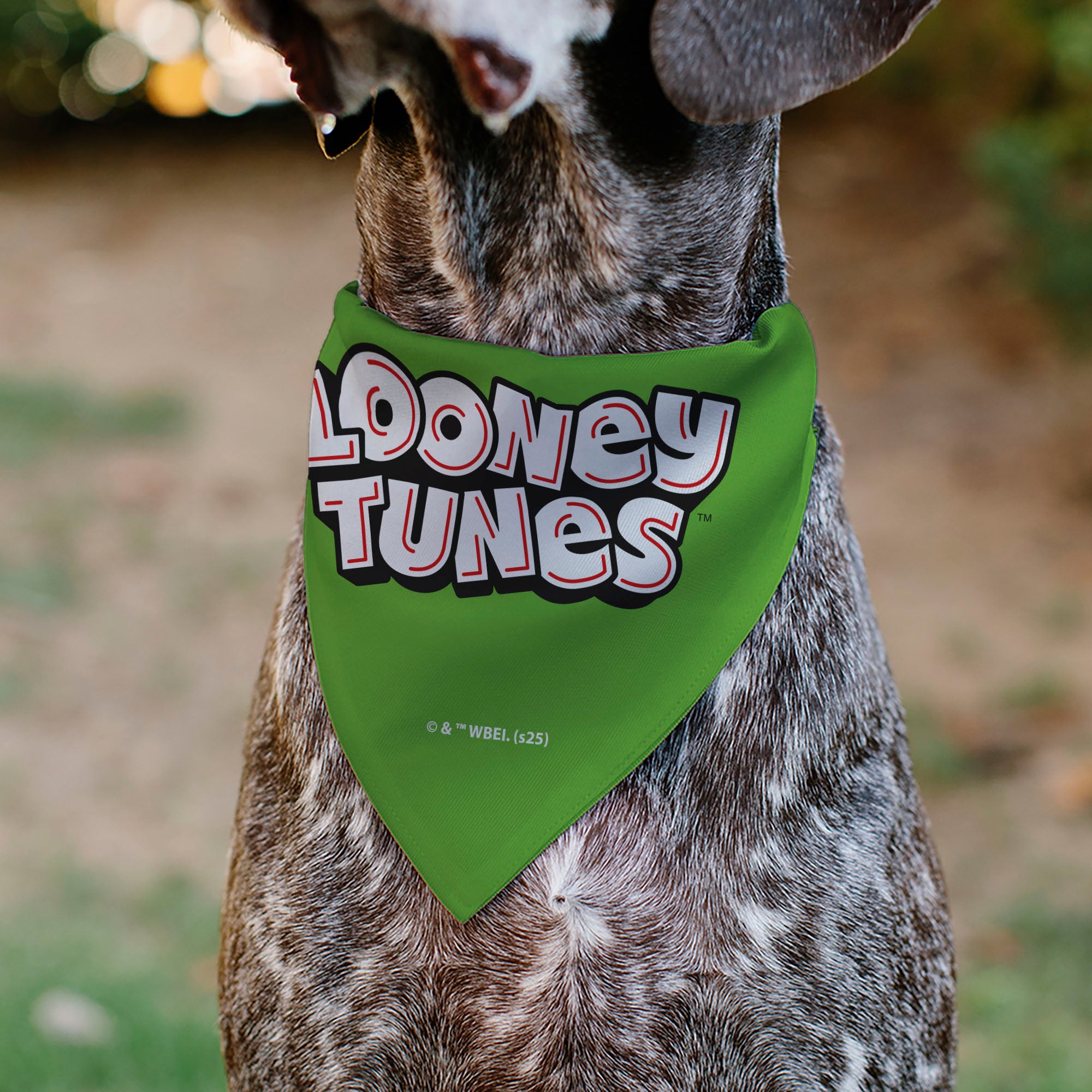 Pet Bandana - LOONEY TUNES Marvin the Martian Face Close-Up Green