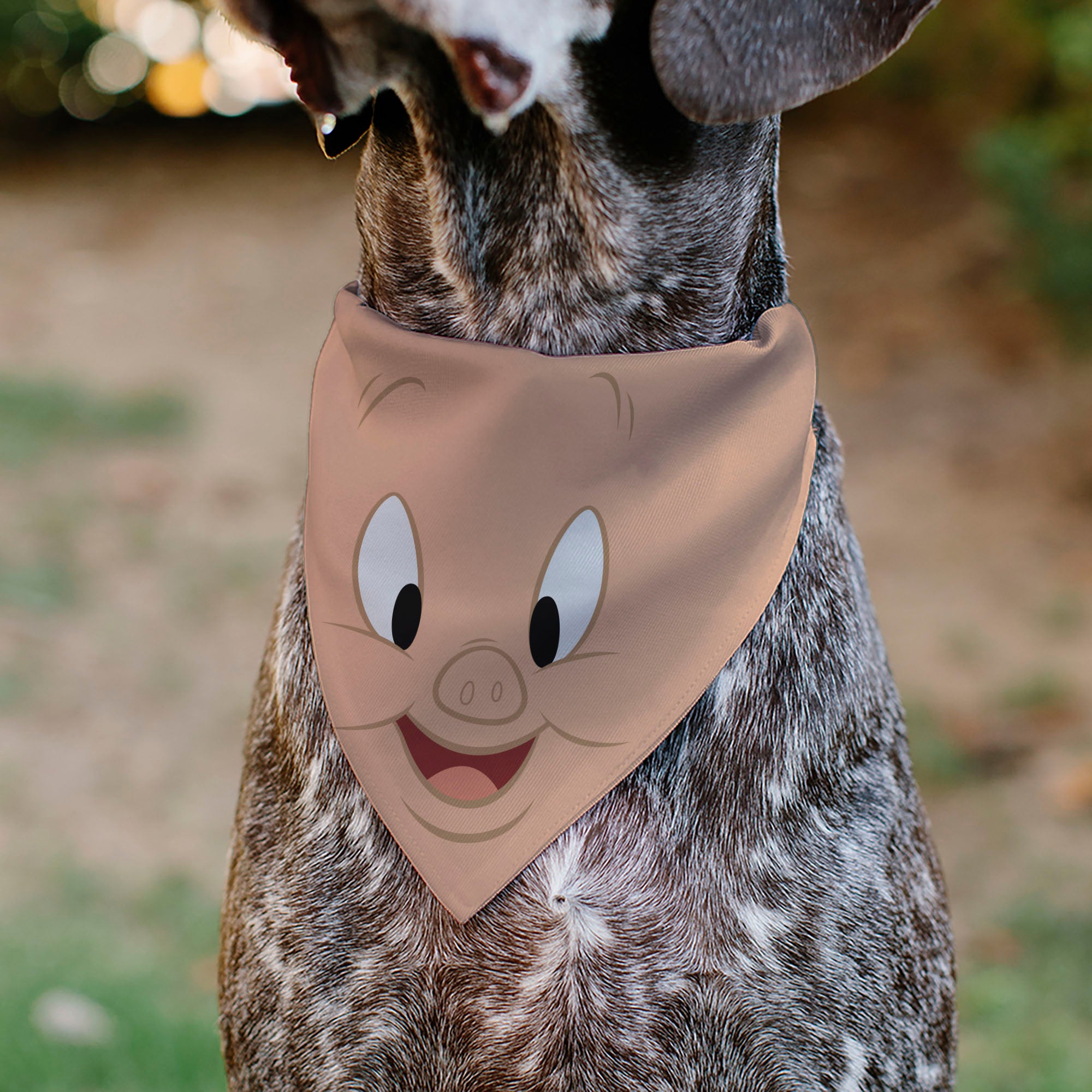 Pet Bandana - LOONEY TUNES Porky Pig Face Close-Up Peach