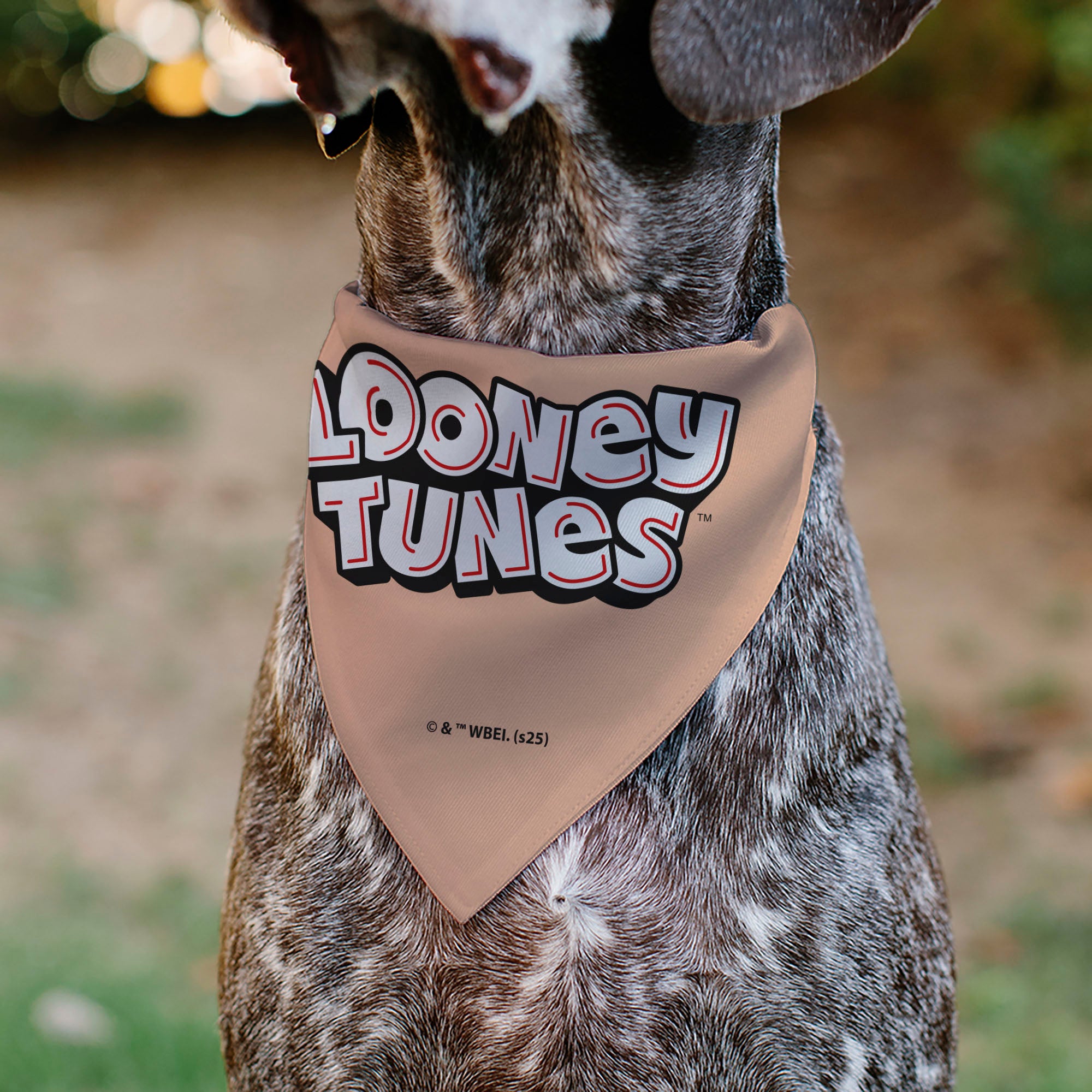 Pet Bandana - LOONEY TUNES Porky Pig Face Close-Up Peach