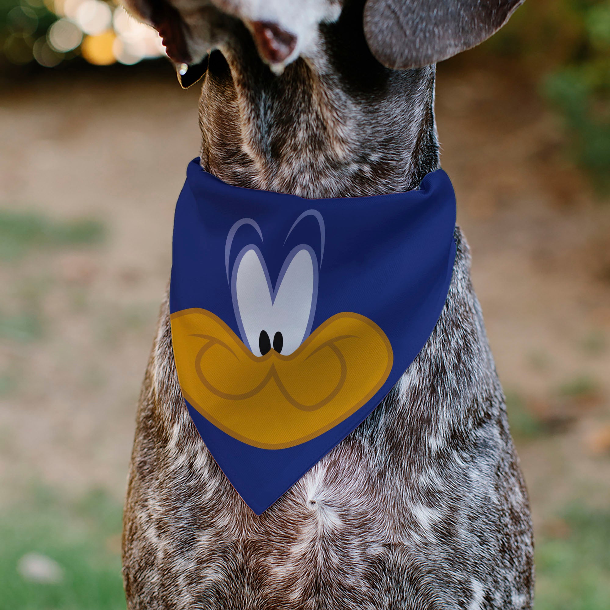 Pet Bandana - LOONEY TUNES Road Runner Face Close-Up Blue
