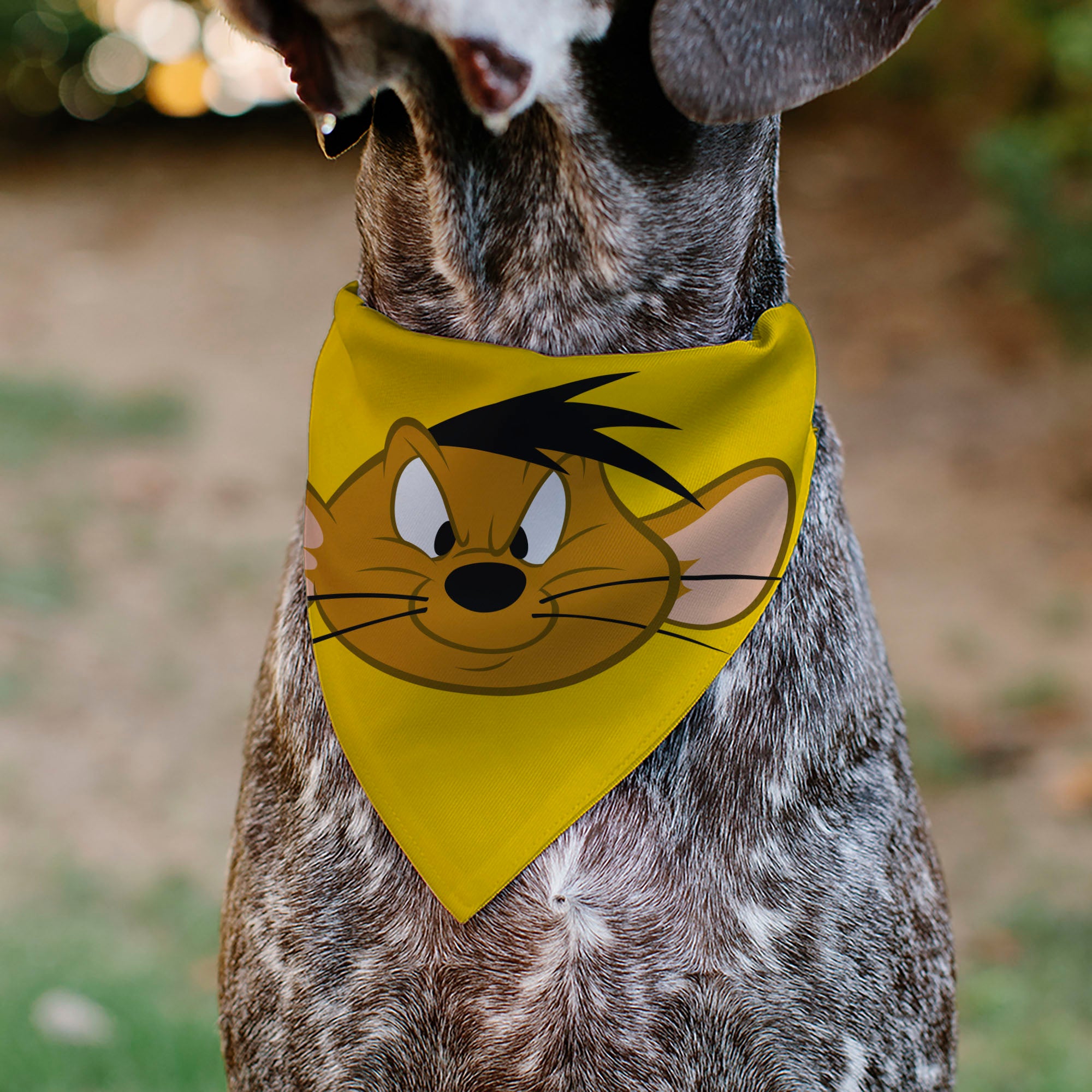 Pet Bandana - LOONEY TUNES Speedy Gonzales Face Close-Up Yellow